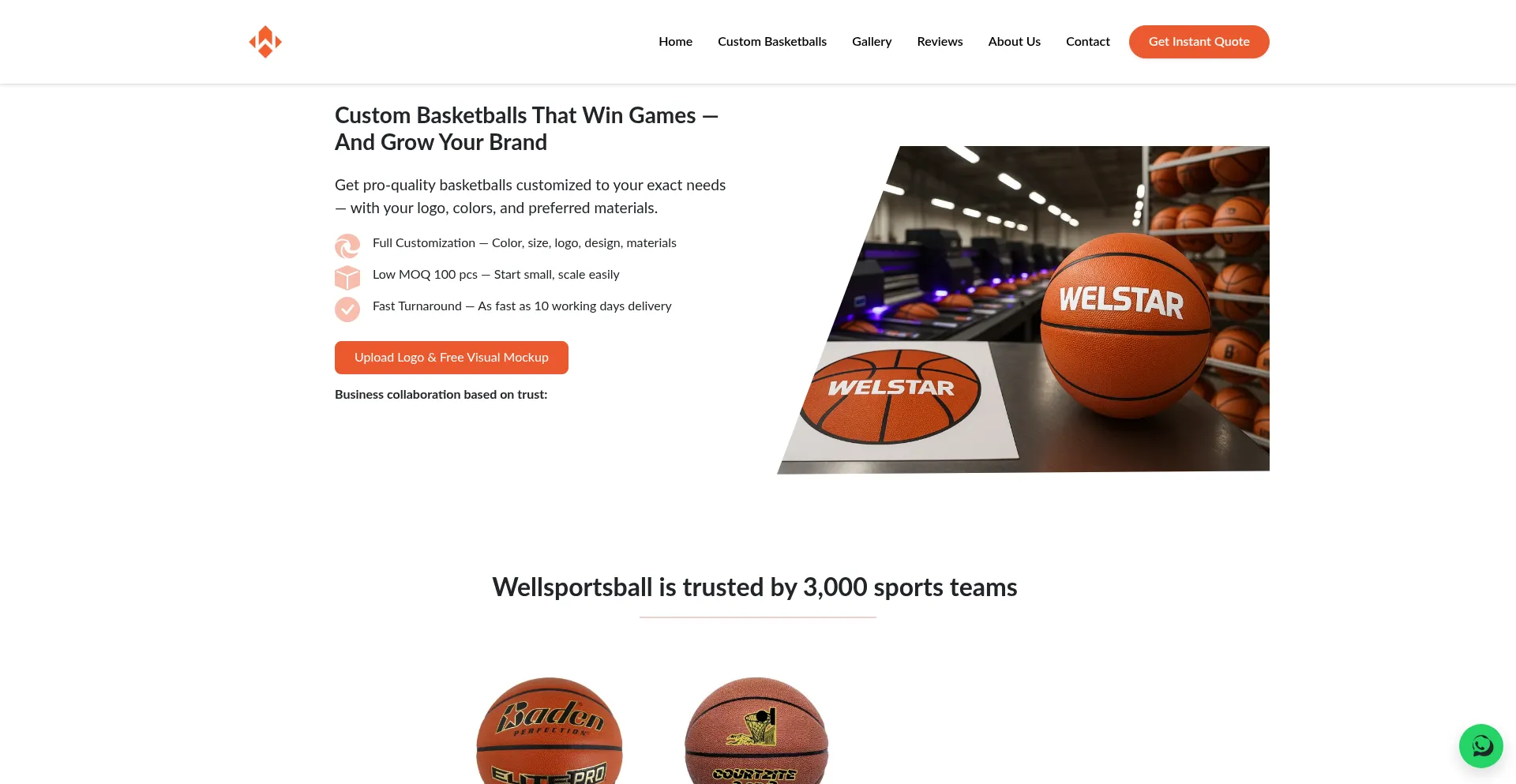 Wellsportsball.com Screenshot