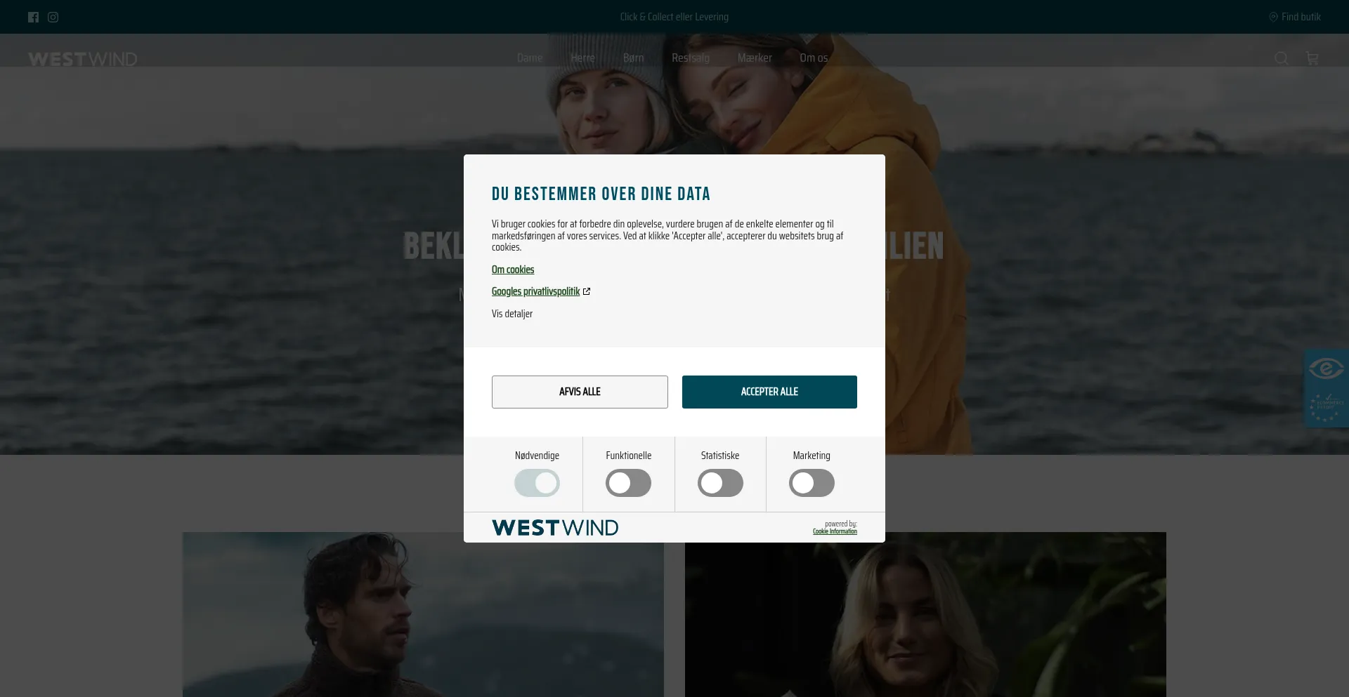 Website screenshot of West-wind.dk