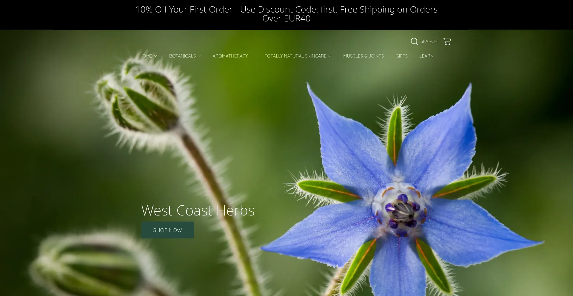 Is Westcoastherbs.ie Safe?