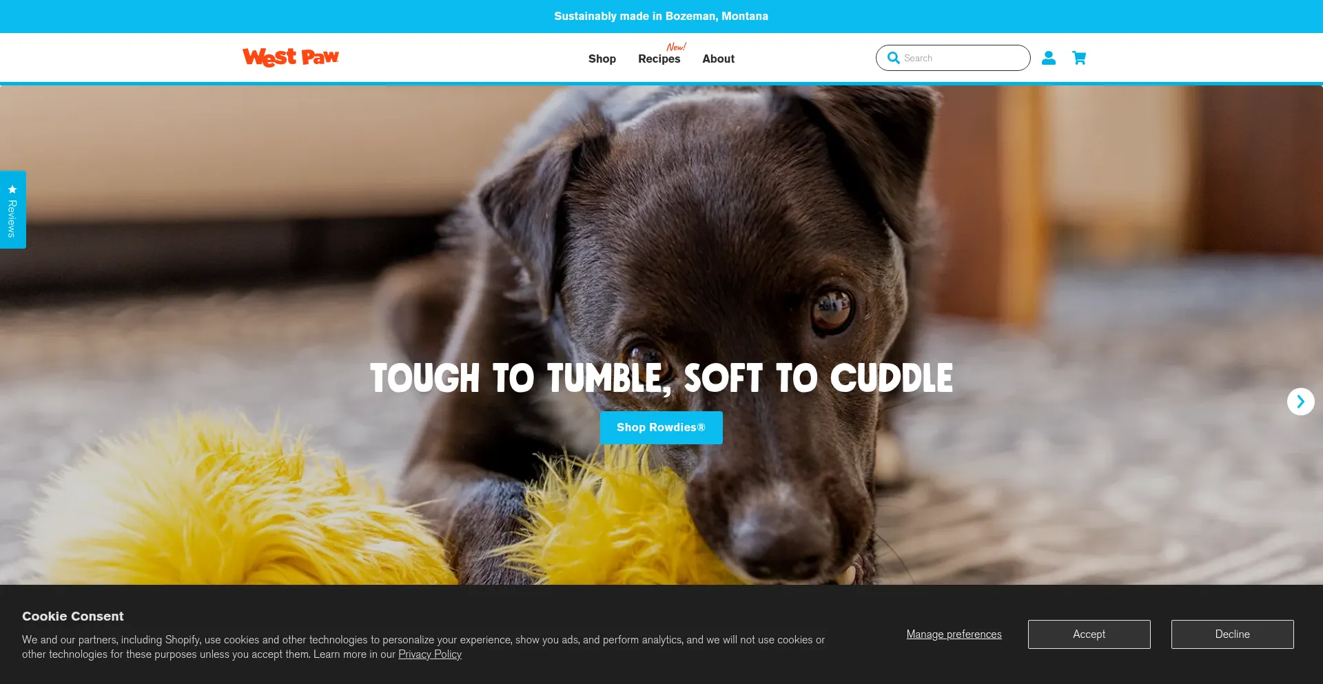 Is Westpaw.com Safe?
