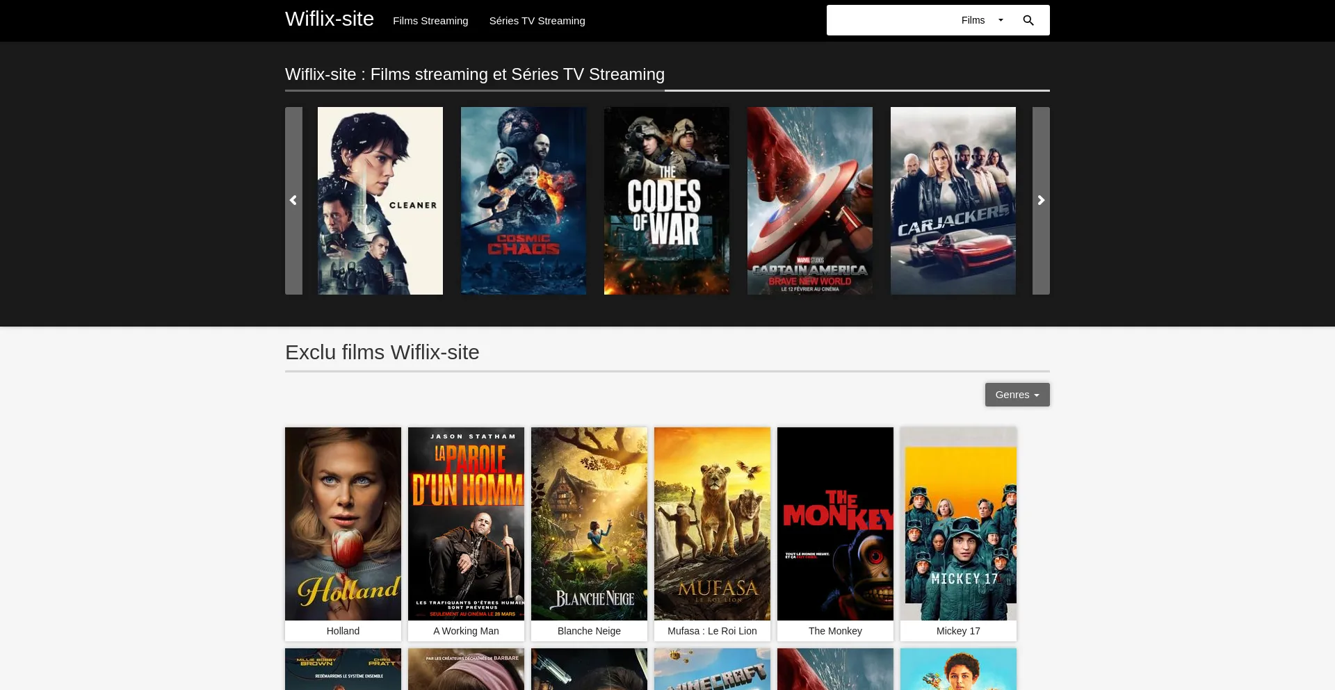 Website screenshot of Wiflix-site.com