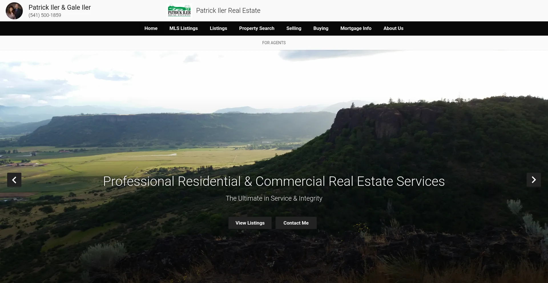 Website screenshot of Wildbroker.com