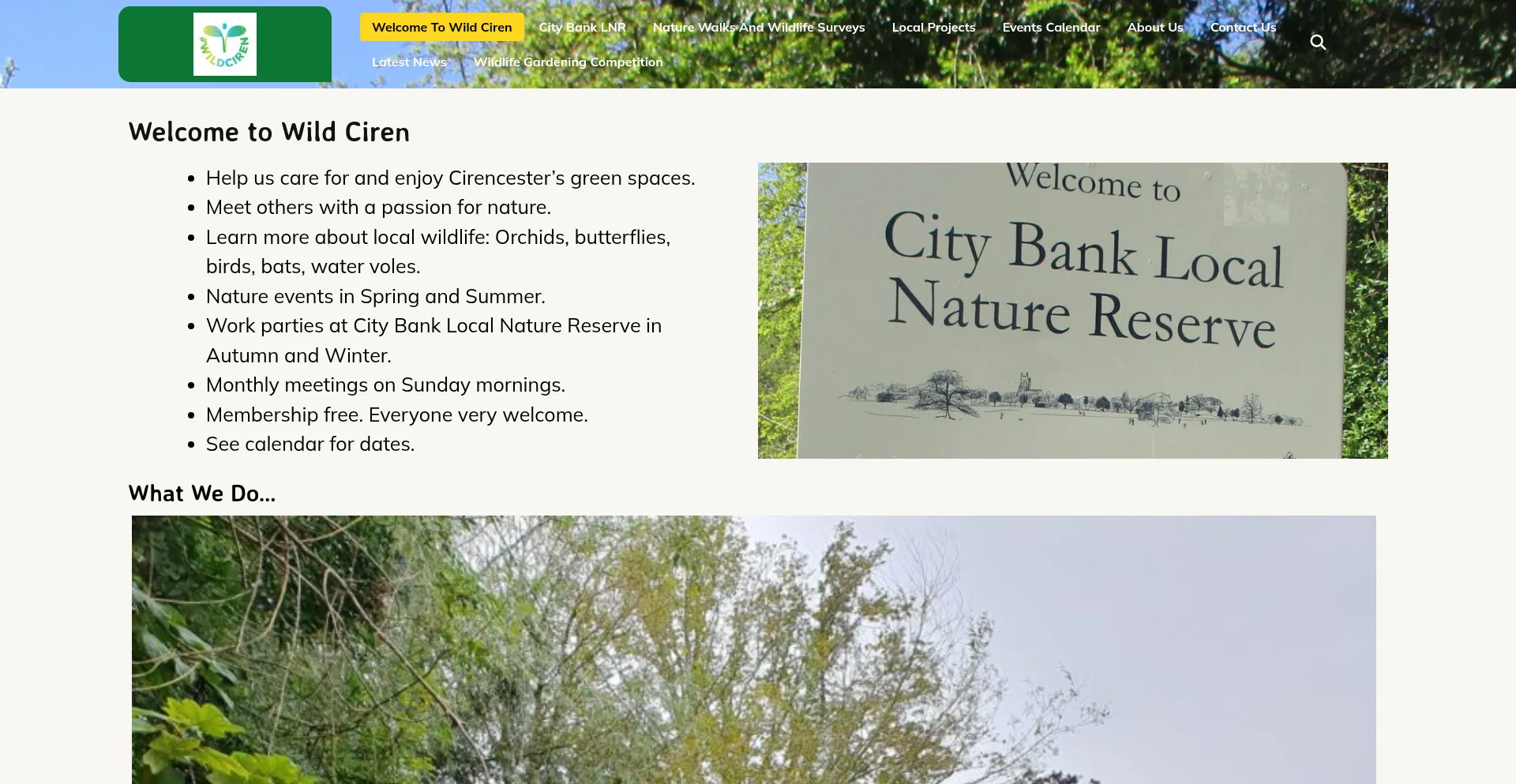 Website screenshot of Wildciren.org.uk