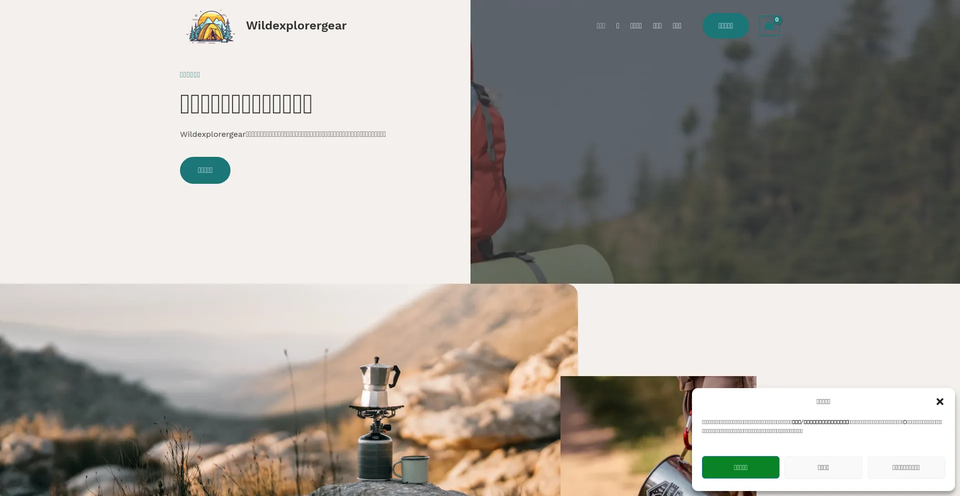 Website screenshot of Wildexplorergear.com