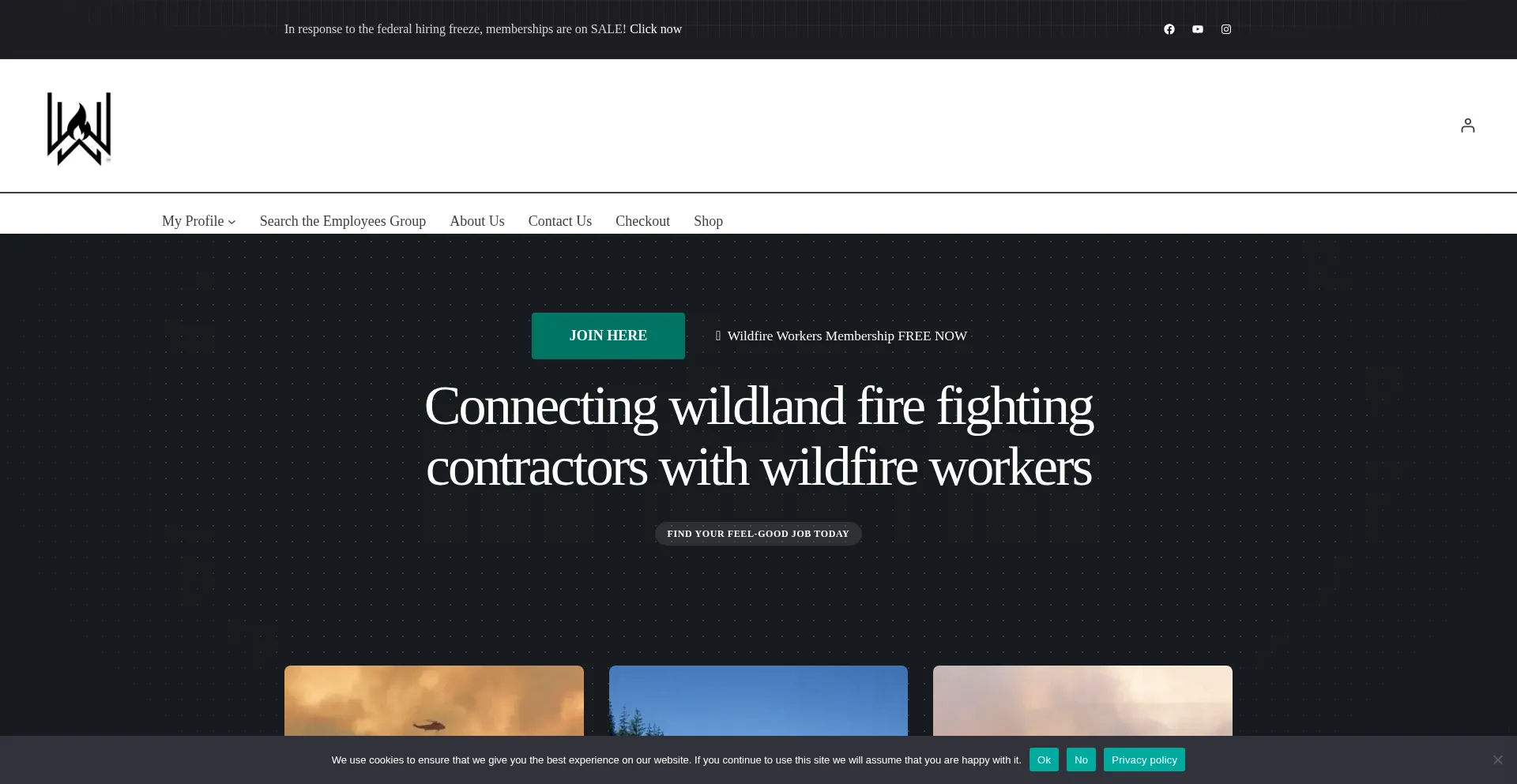 Website screenshot of Wildfireworkers.com