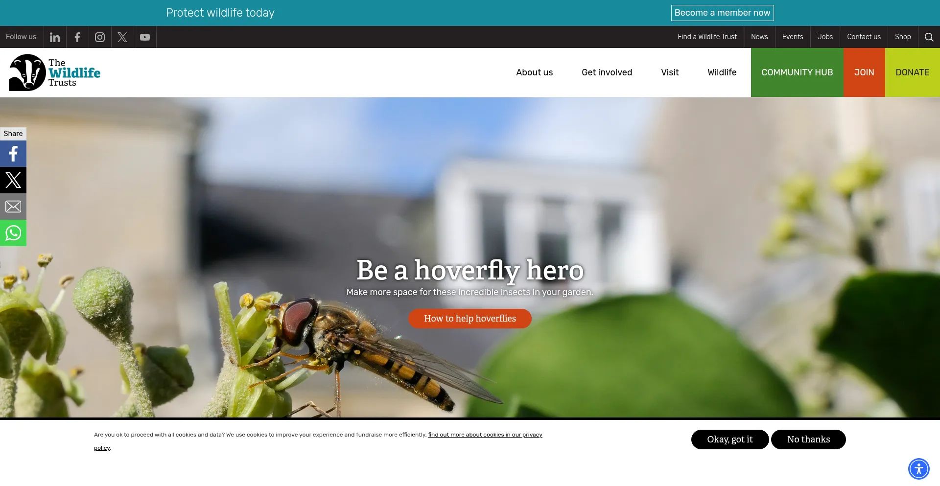 Website screenshot of Wildlifetrusts.org