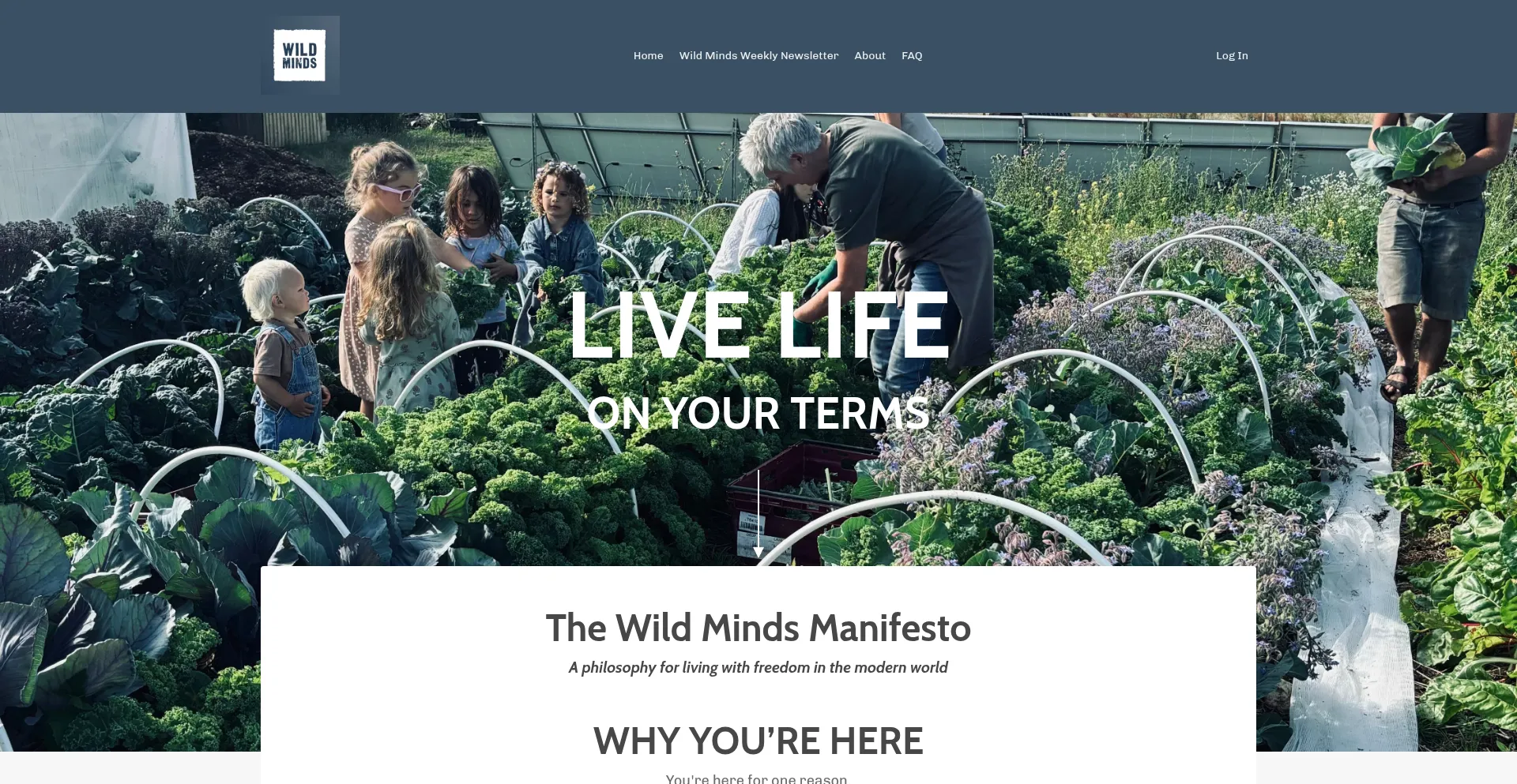 Wildmindscommunity.com