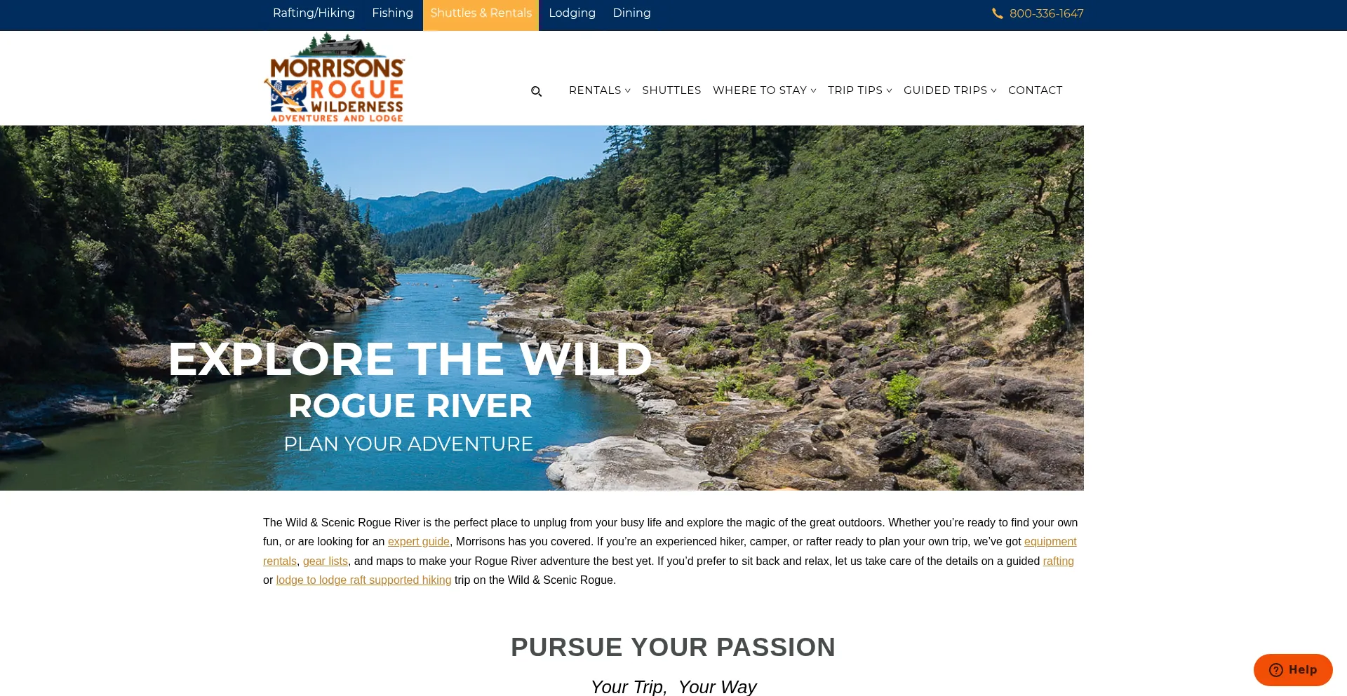 Wildrogue.com