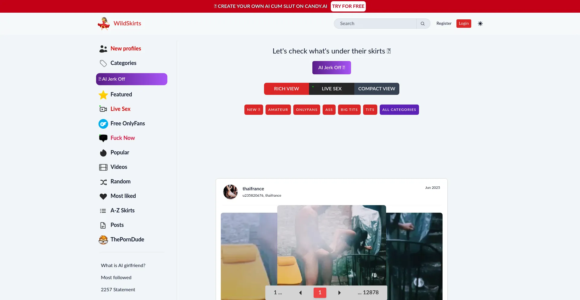 Website screenshot of Wildskirts.com