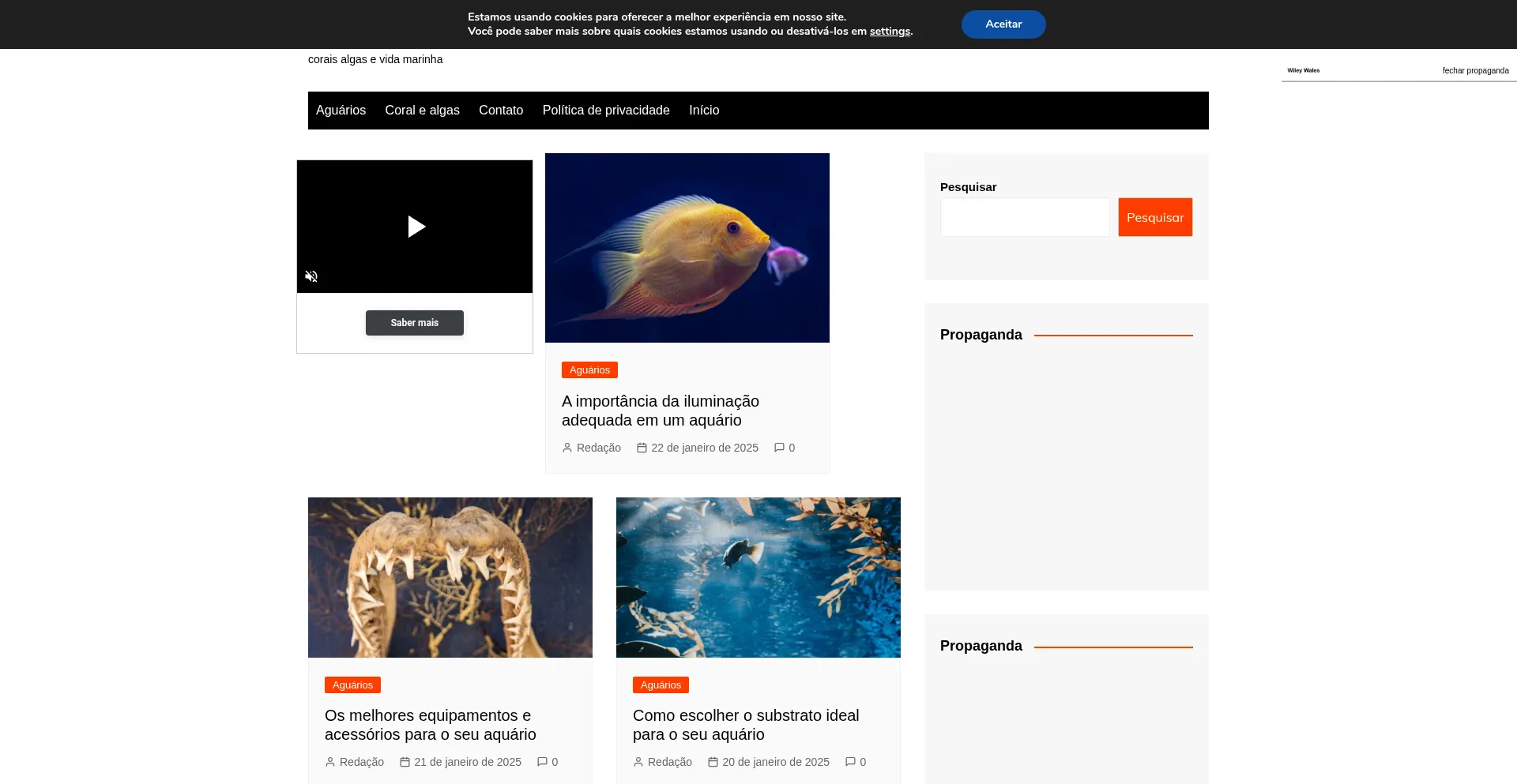 Website screenshot of Wileywales.com