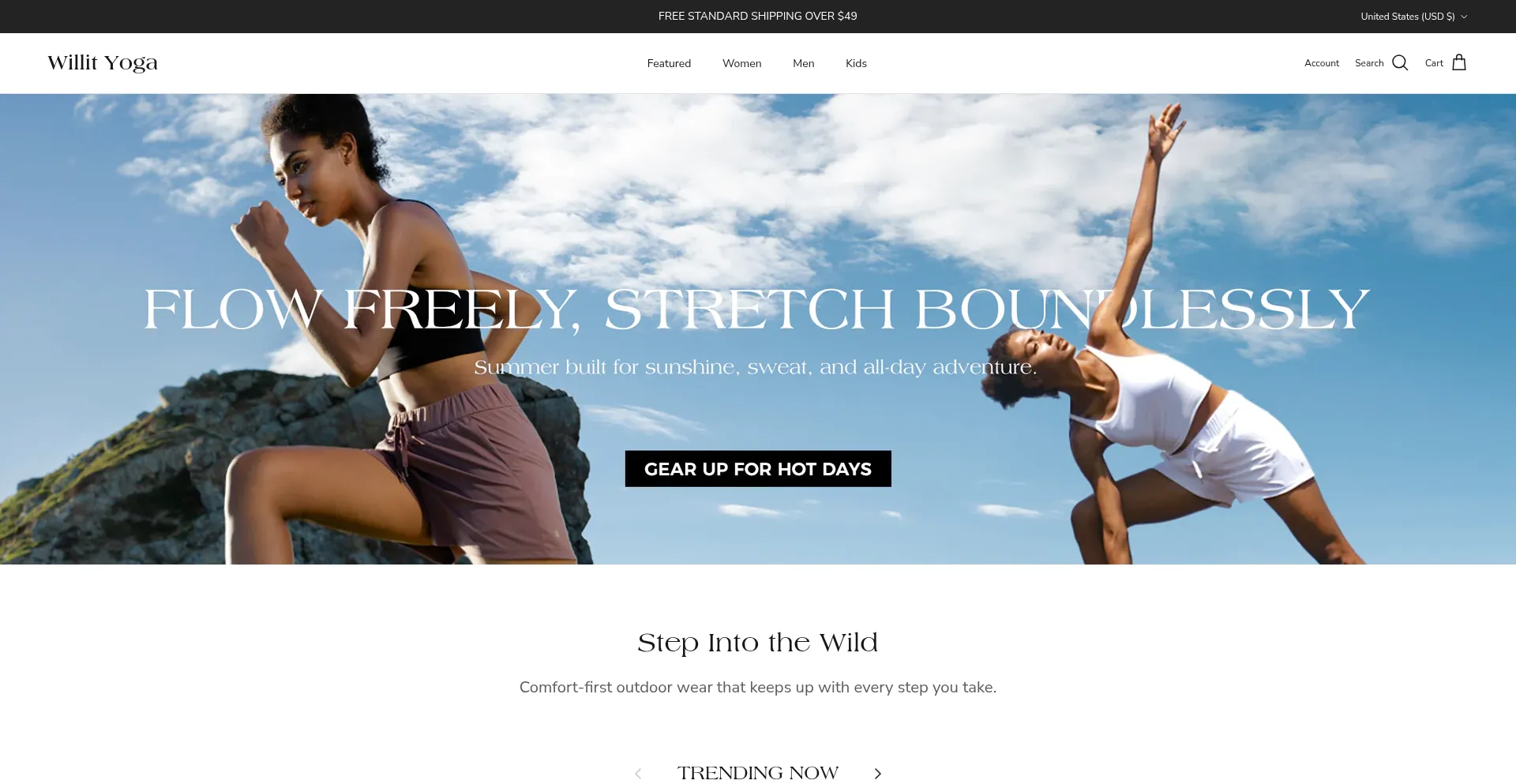 Website screenshot of Willityoga.com