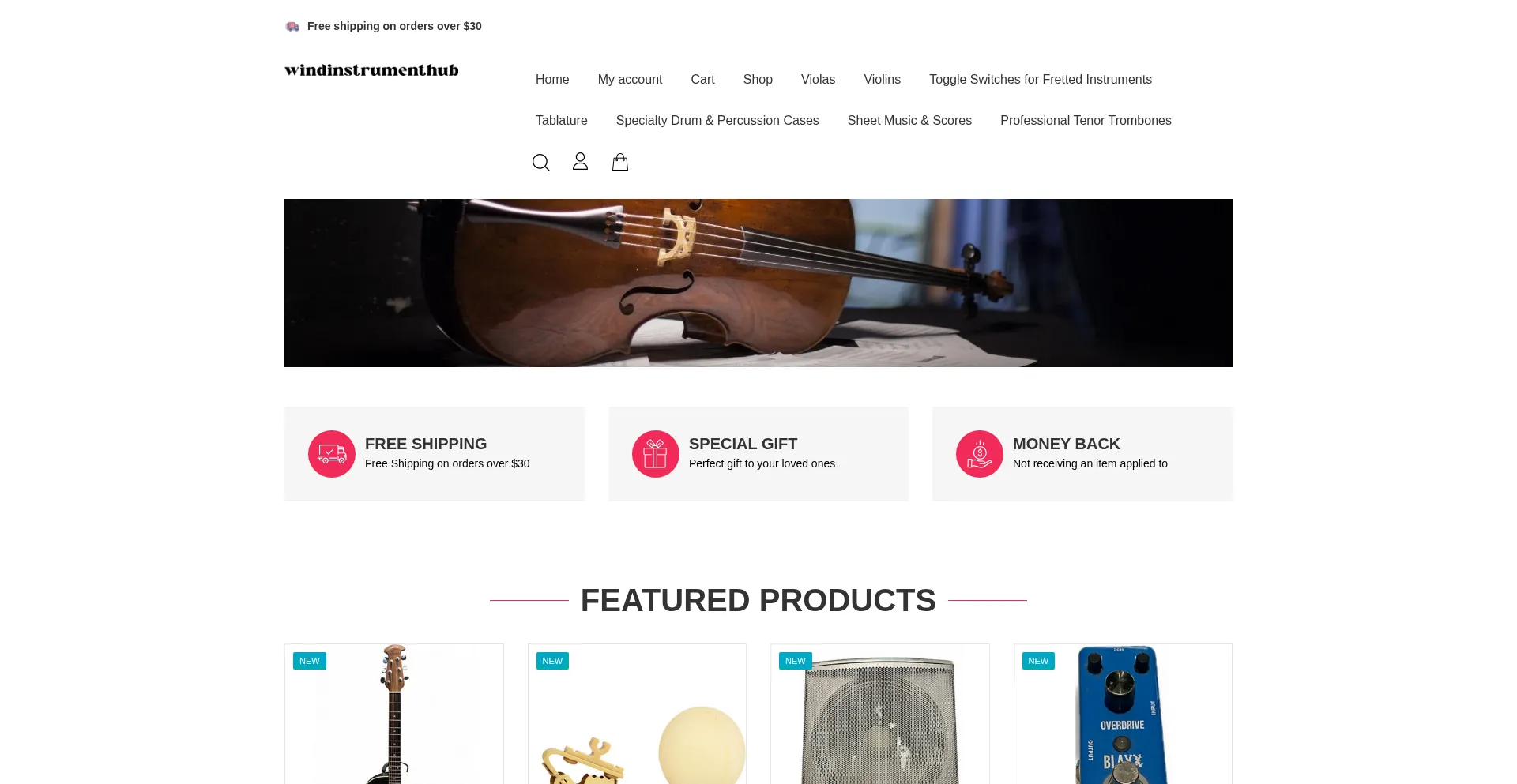 Windinstrumenthub.com
