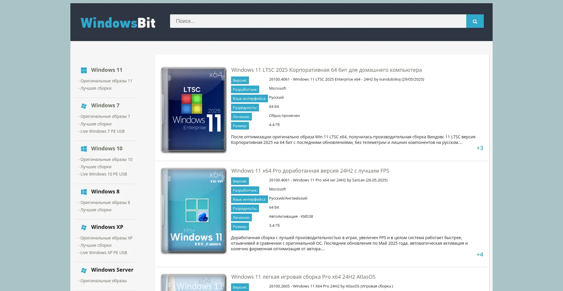 Website screenshot of Windowsbit.net