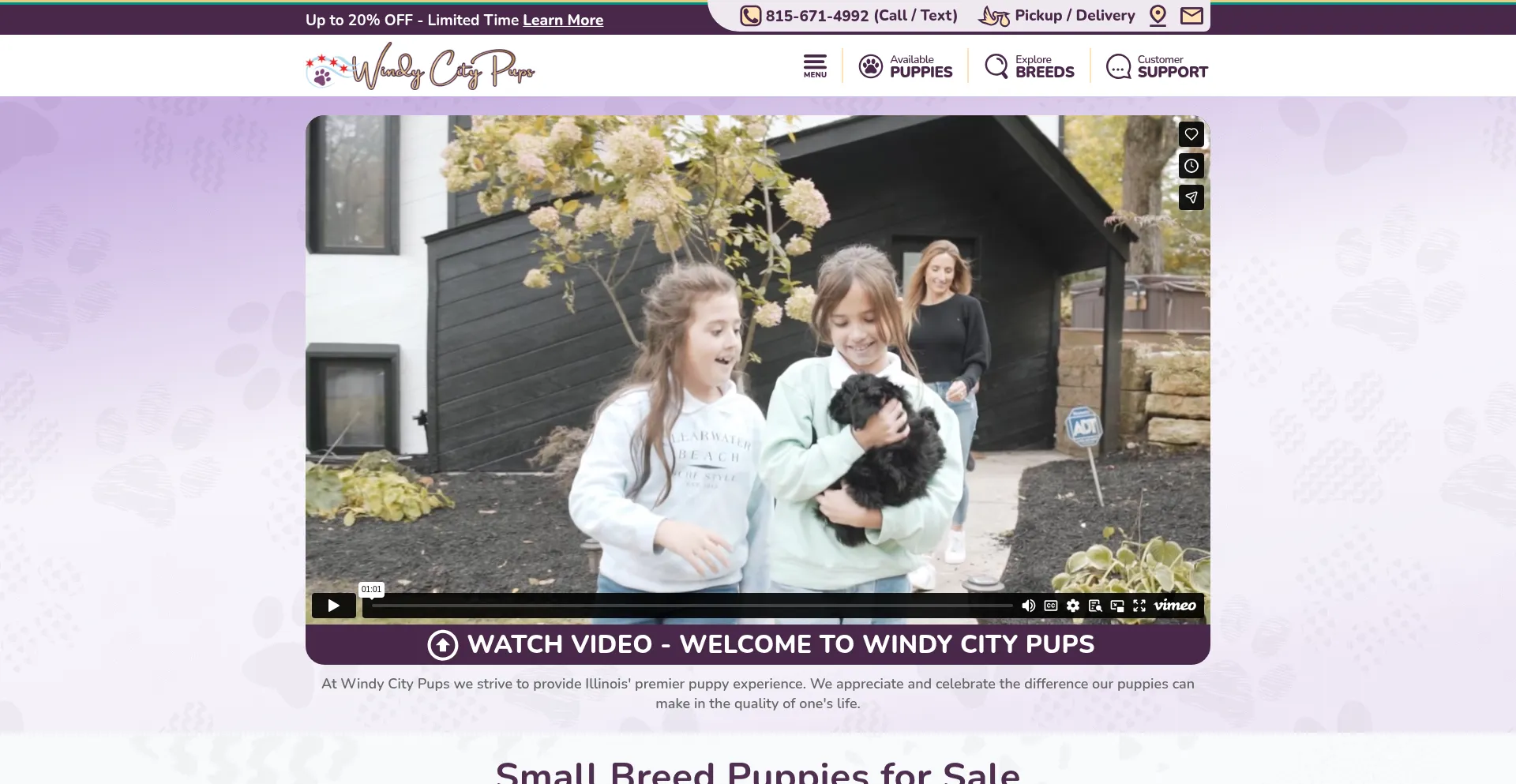 Windycitypups.com