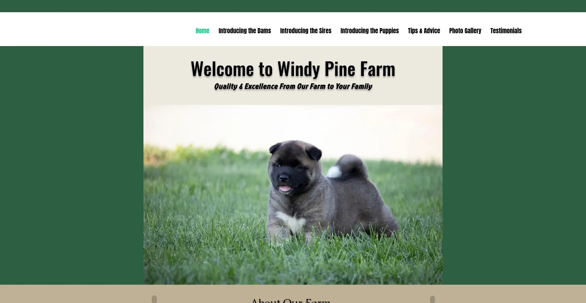 Is Windypinefarm.com Safe?