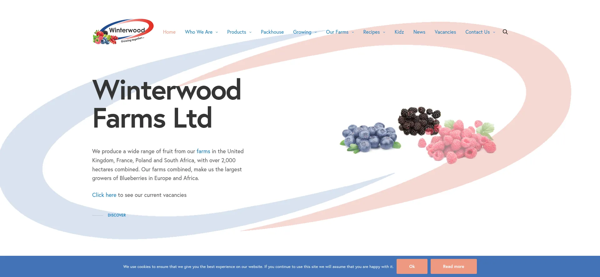 Website screenshot of Winterwood.co.uk