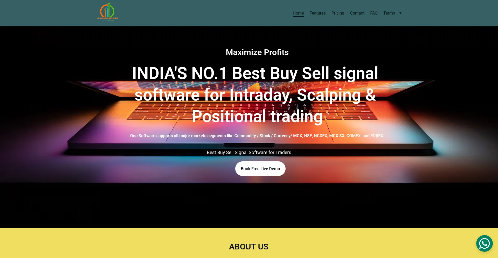 Wintradingsystem.com Screenshot