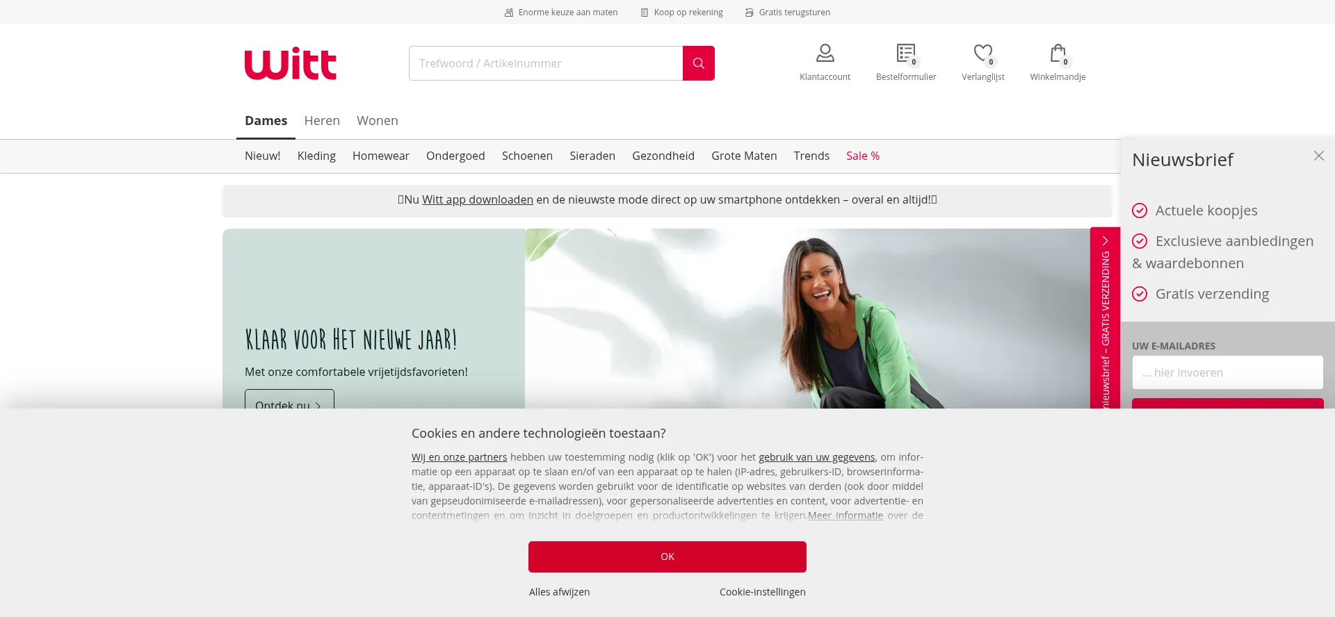 Website screenshot of Witt-international.nl
