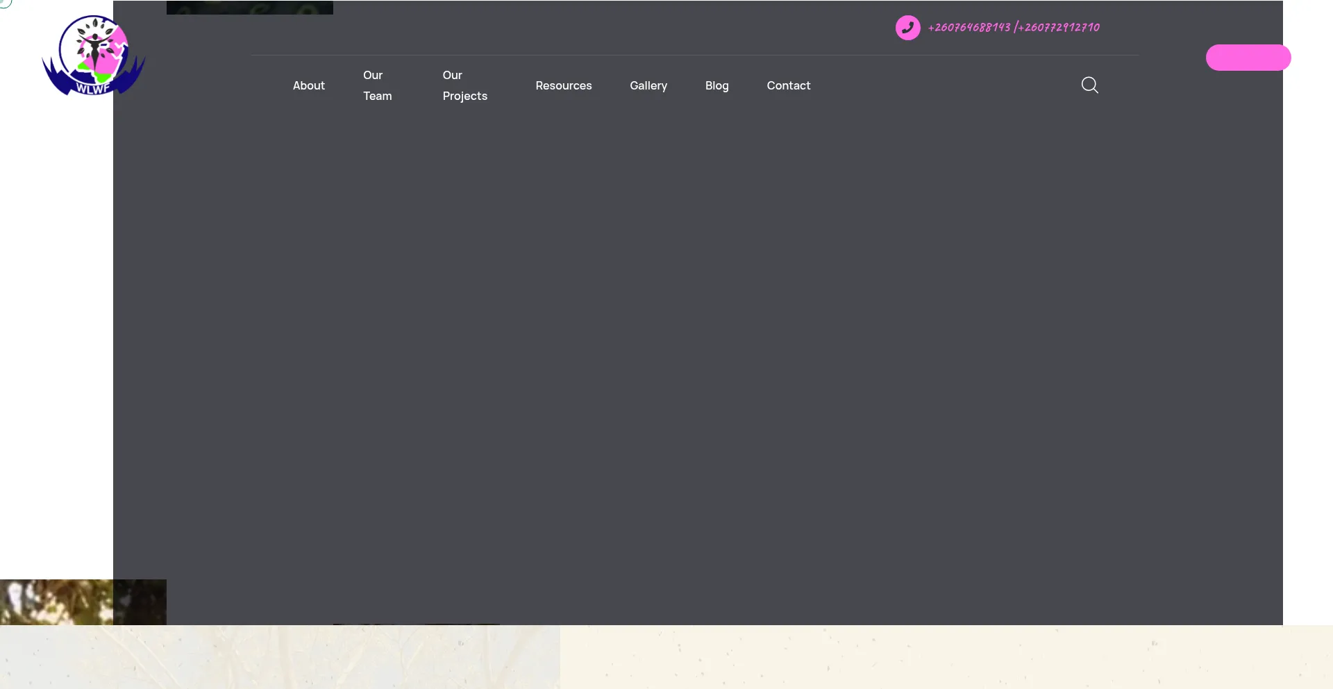 Website screenshot of Wlwfzambia.org