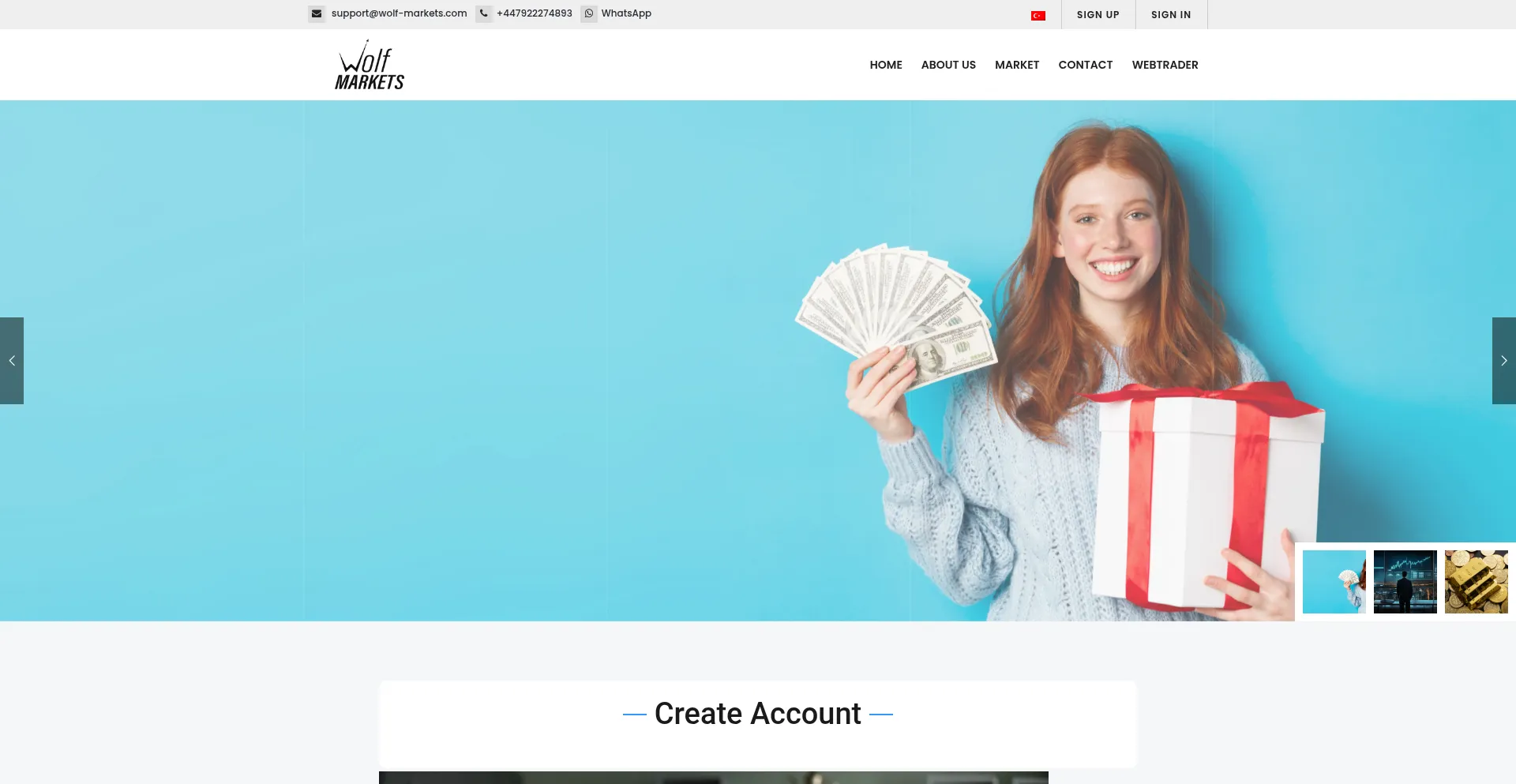 Website screenshot of Wolf-markets.com