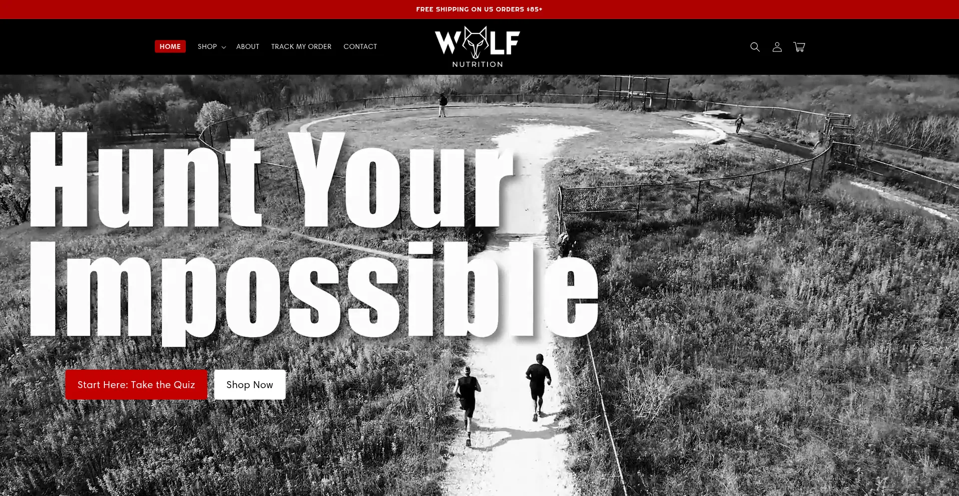 Website screenshot of Wolfnutritionlab.com