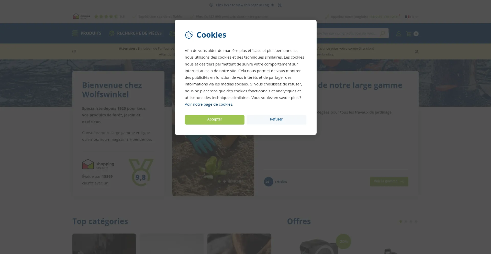 Website screenshot of Wolfswinkel.fr