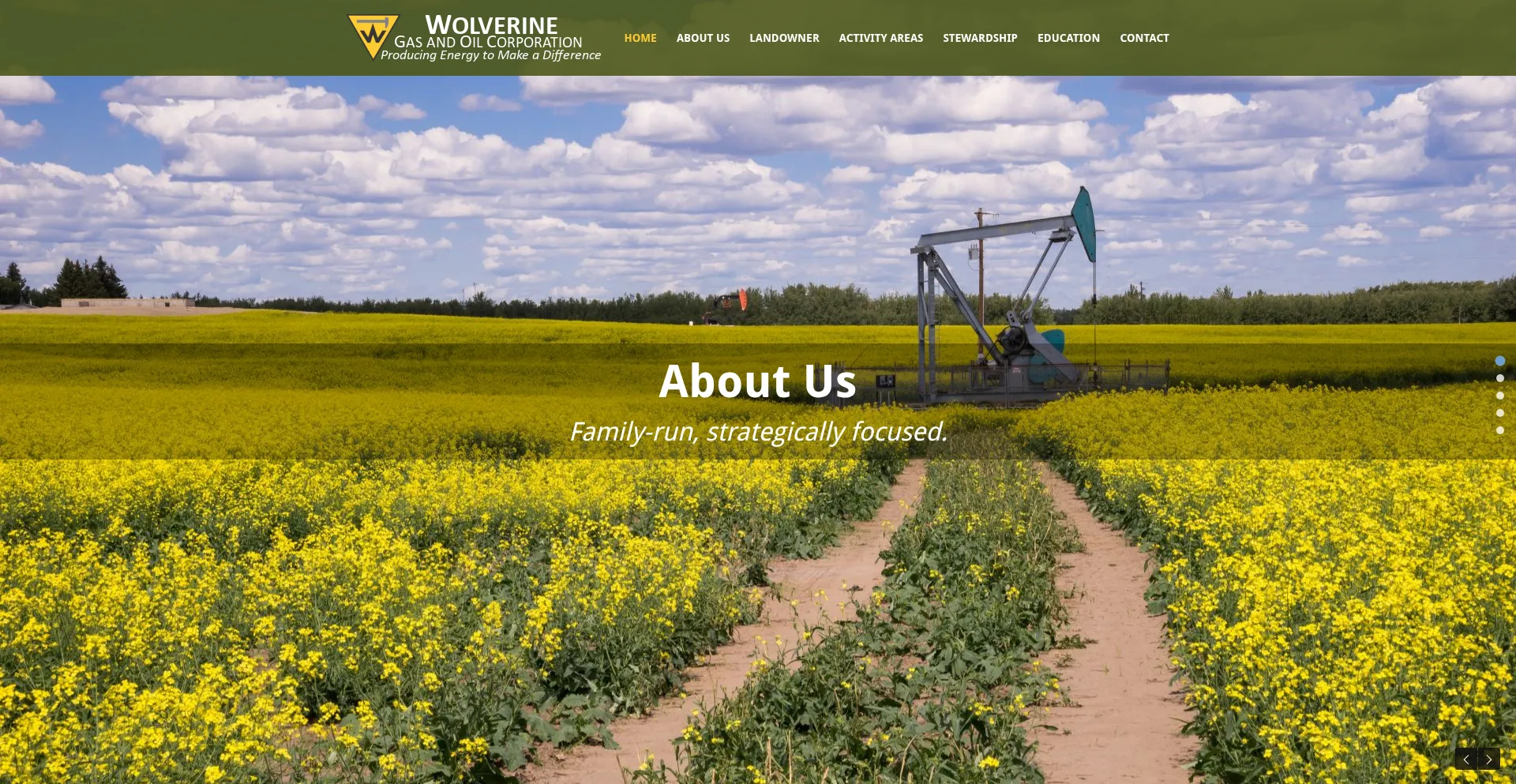 Wolverinegasandoil.com