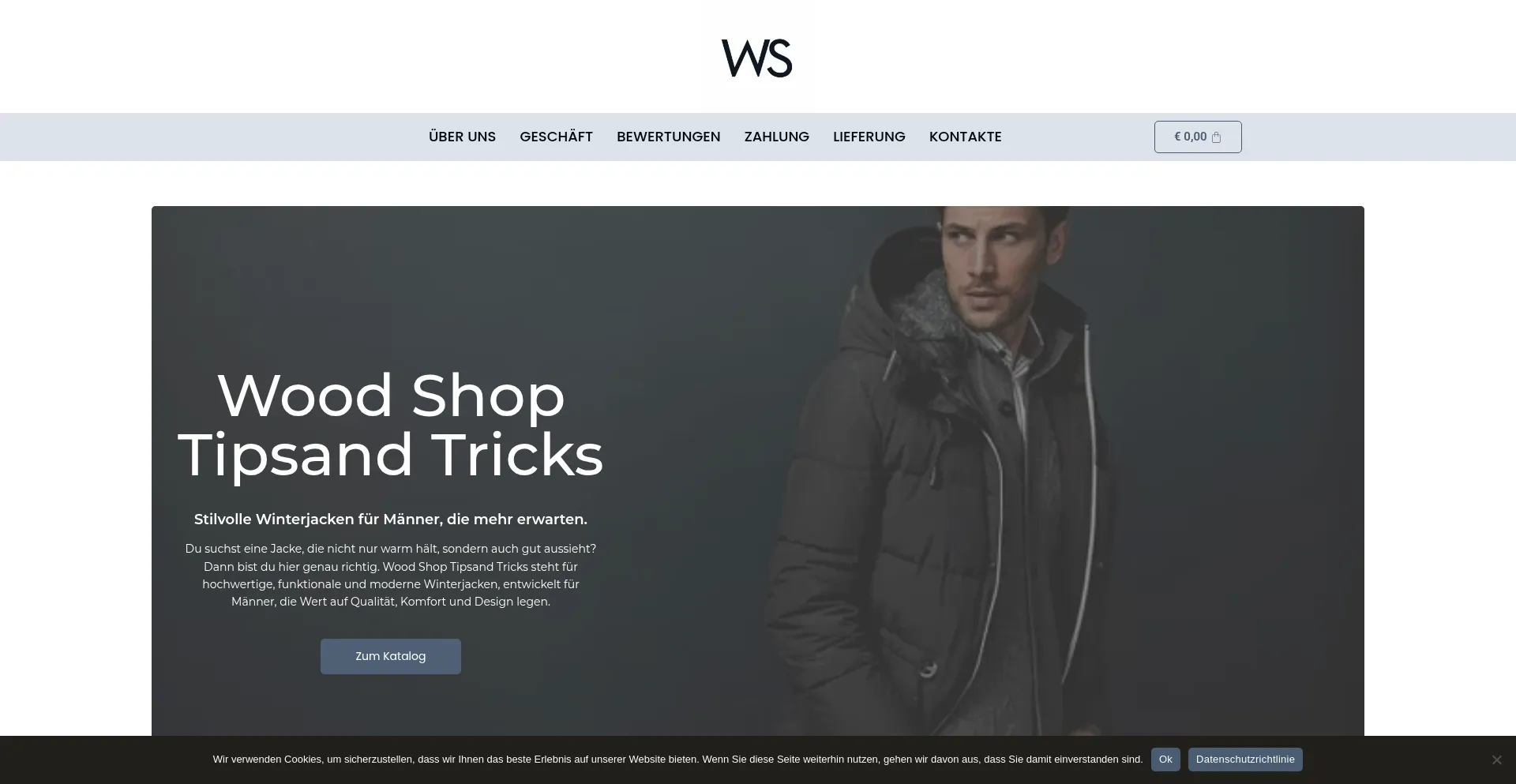 Website screenshot of Woodshoptipsandtricks.com