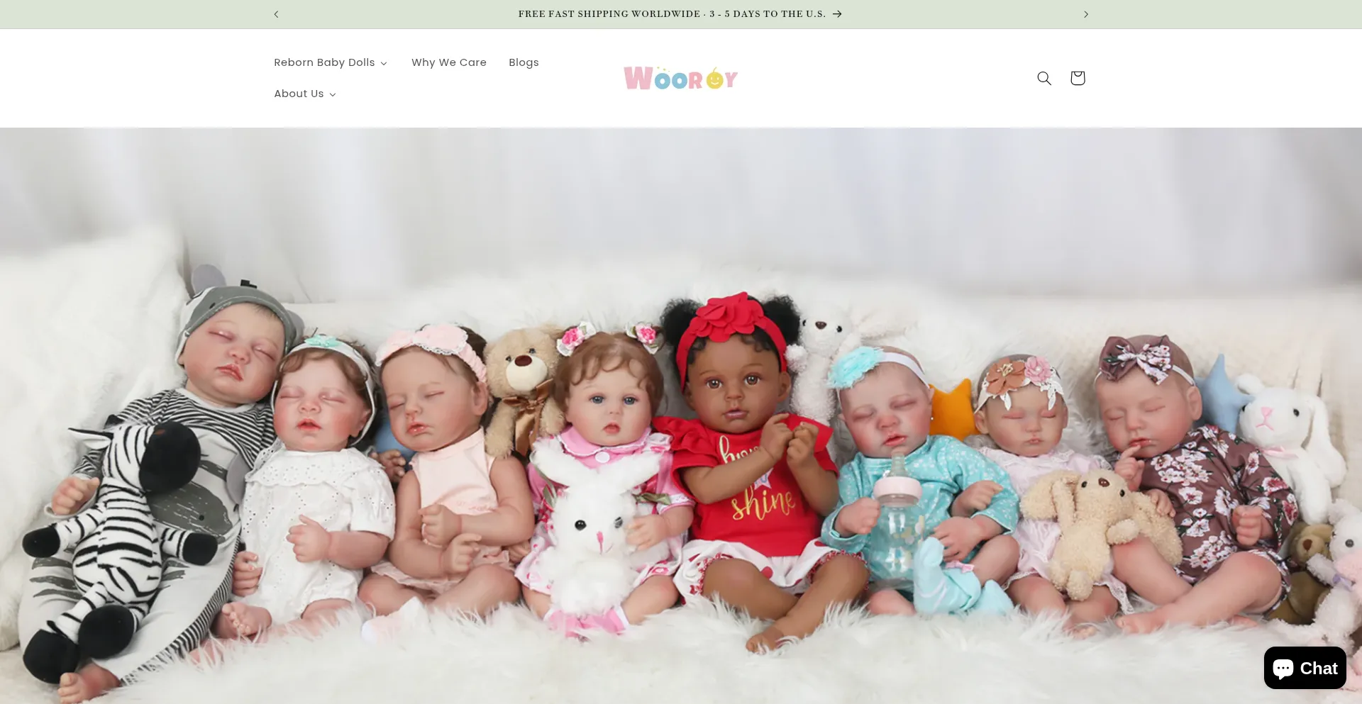 Website screenshot of Wooroy.com