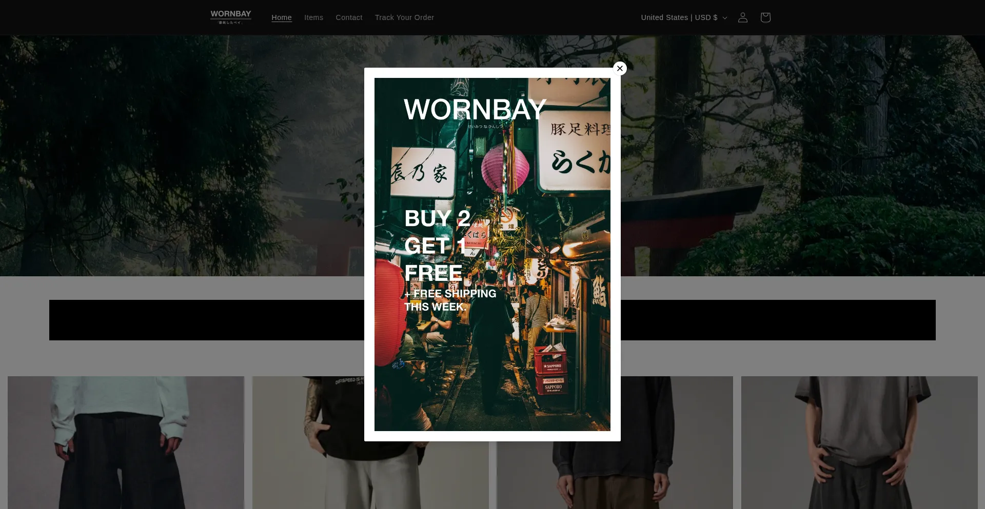 Website screenshot of Wornbay.com