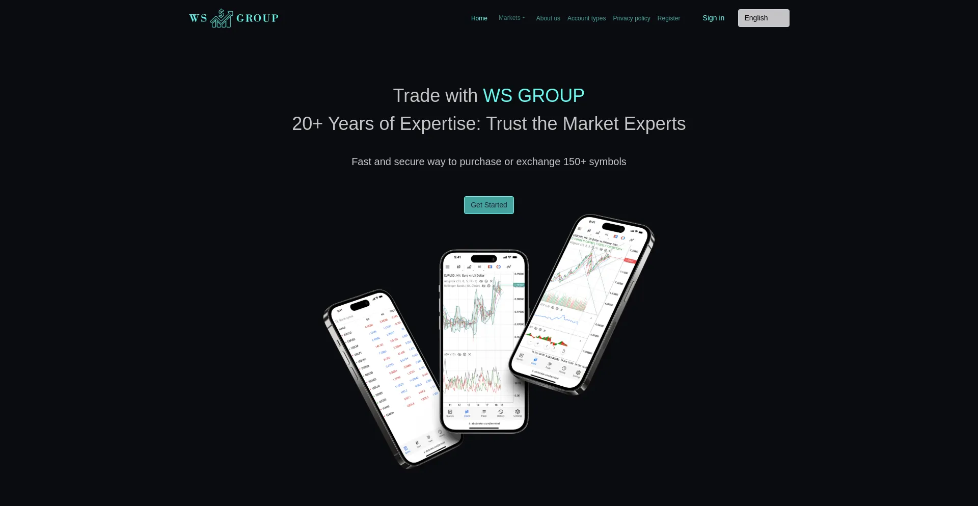 Website screenshot of Ws-group.co