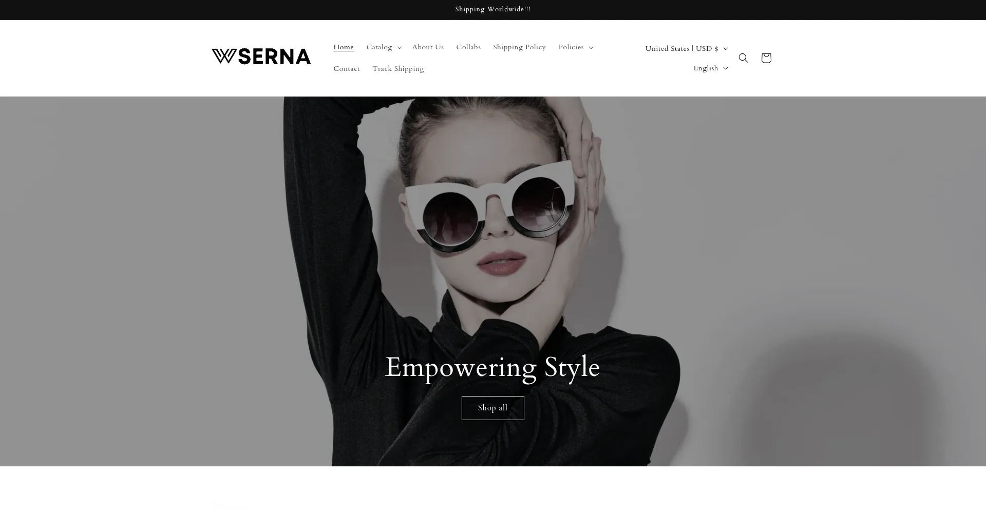 Website screenshot of Wserna.com