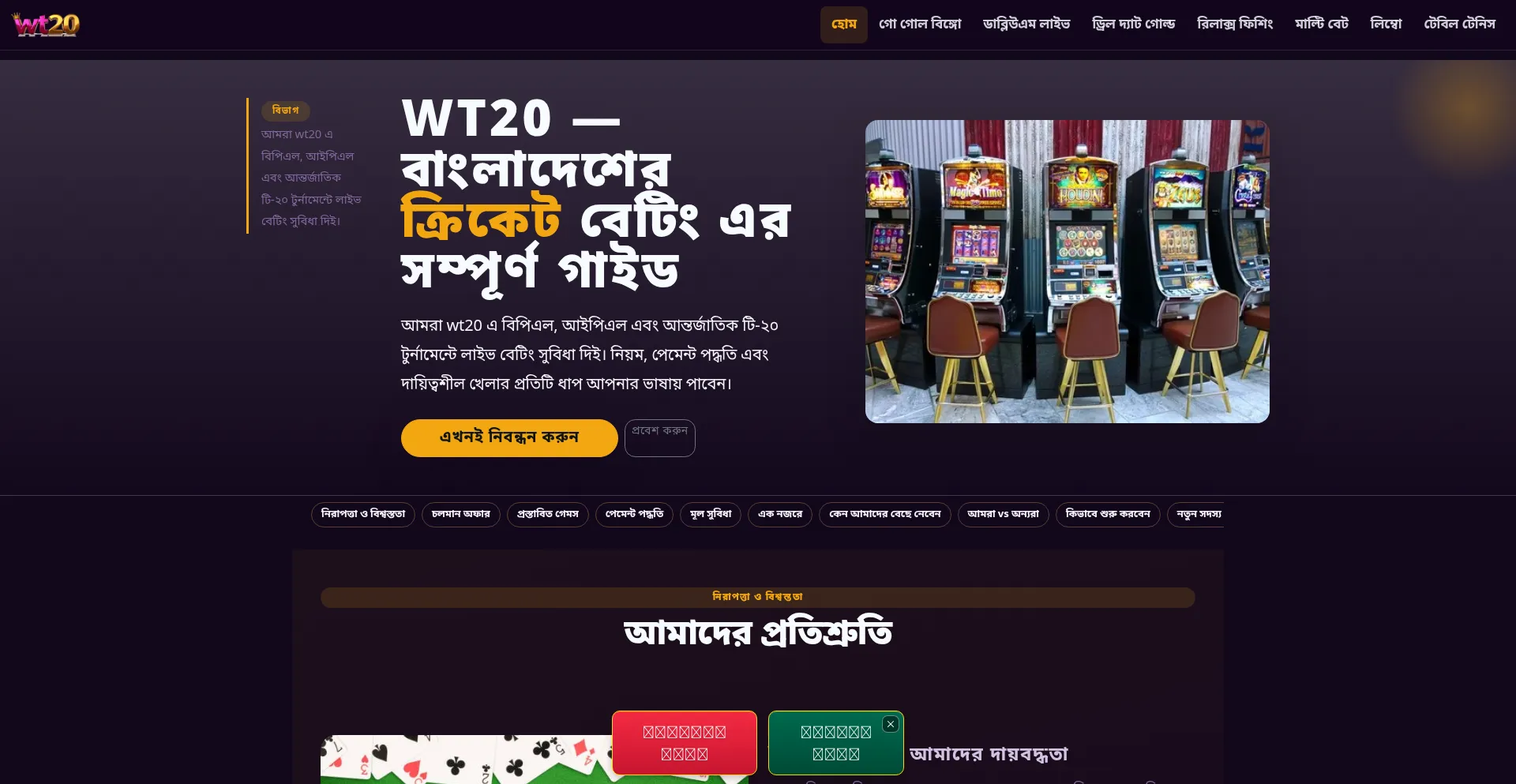 Wt20.net
