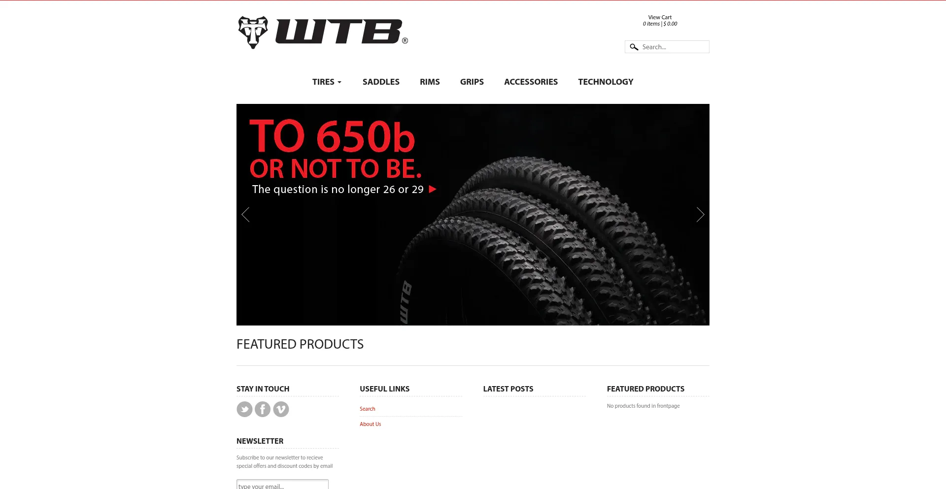 Website screenshot of Wtb-dev.myshopify.com