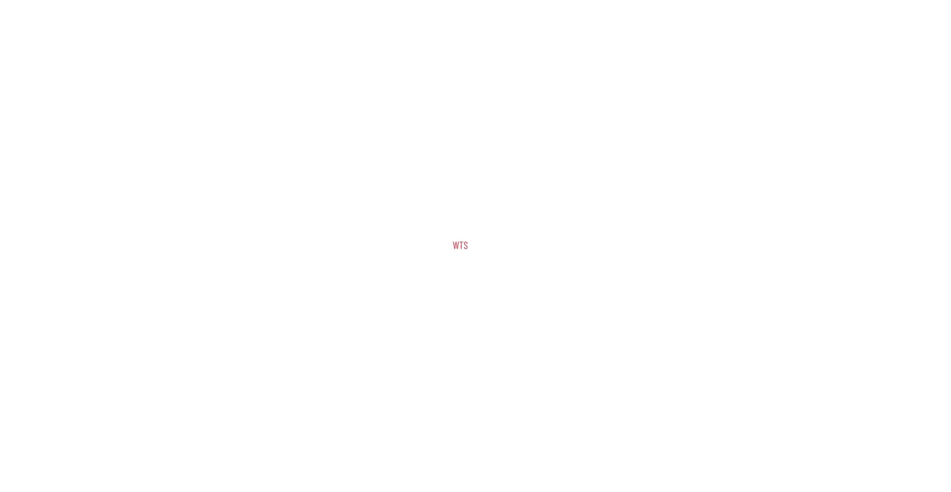 Website screenshot of Wts-support.com