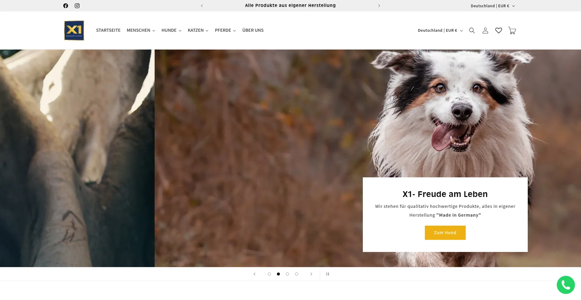 Website screenshot of X1-gesundheit.de