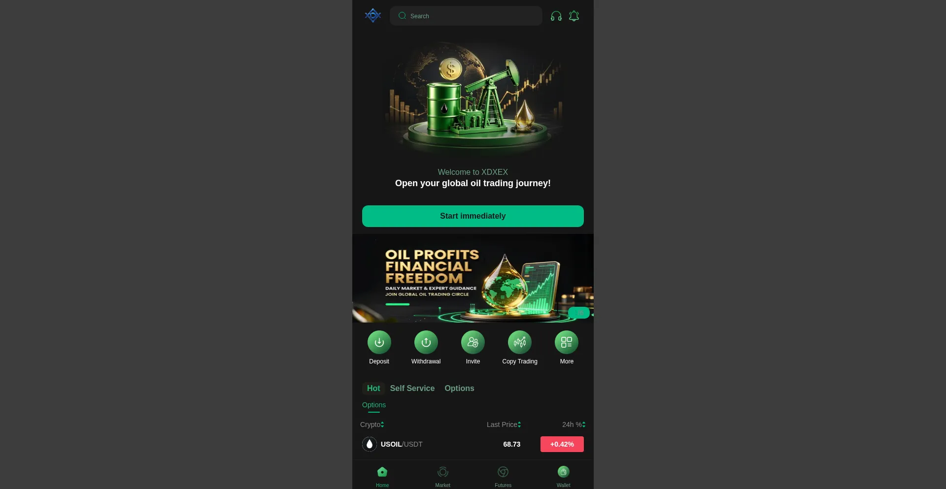 Xdx11.com