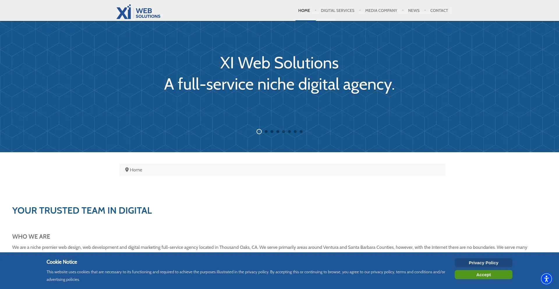 Website screenshot of Xiwebsolutions.com