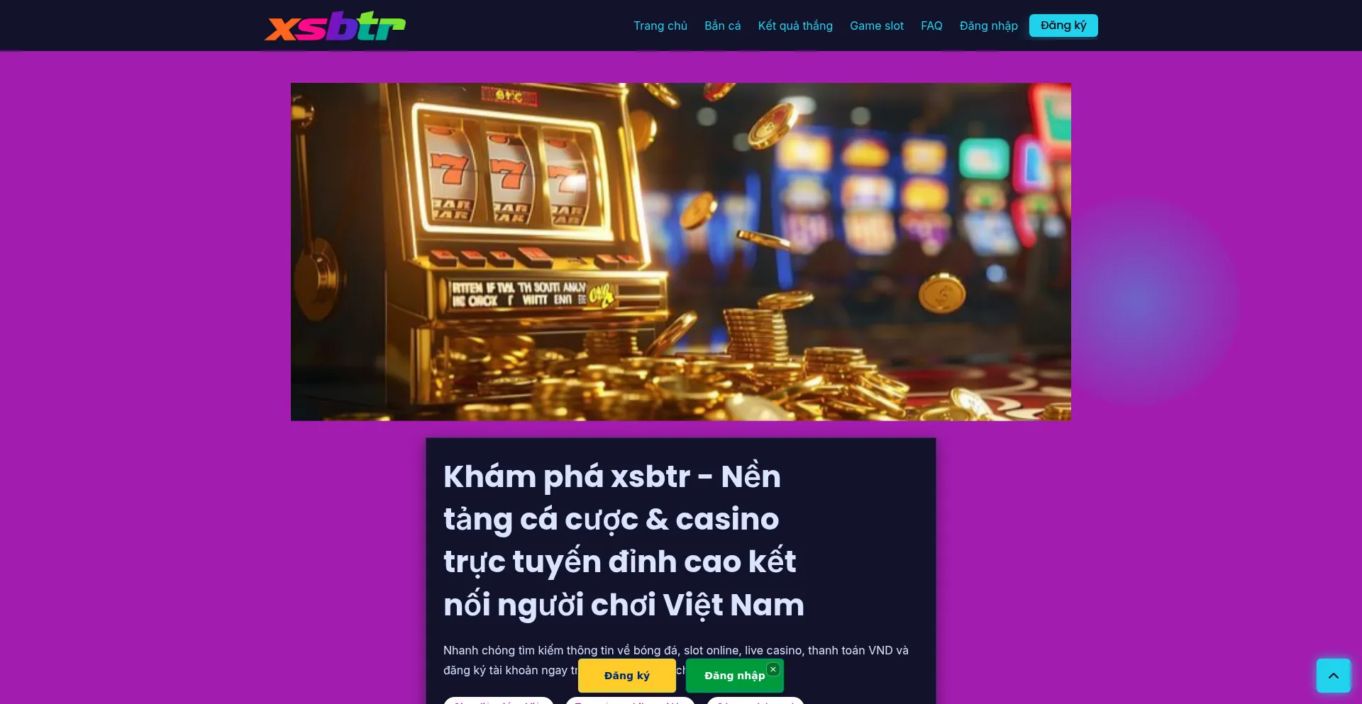 Xsbtr.net