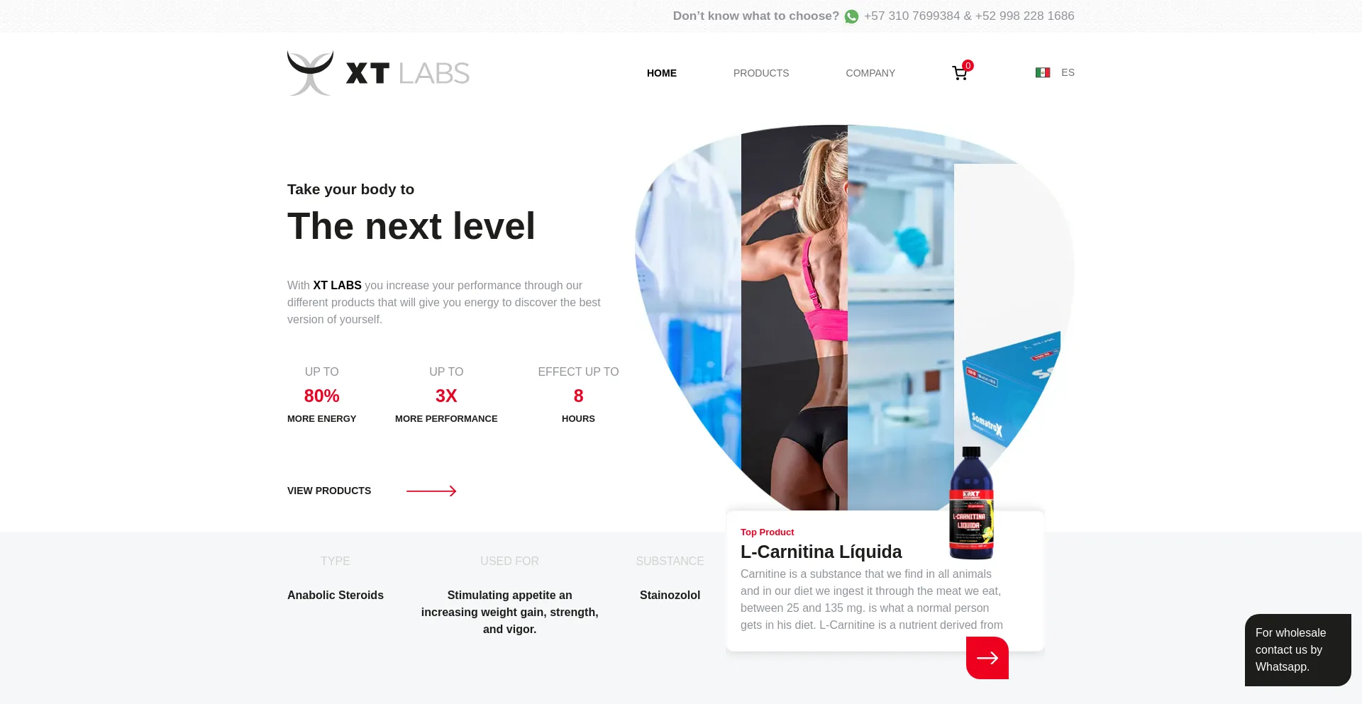 Website screenshot of Xt-labs.in