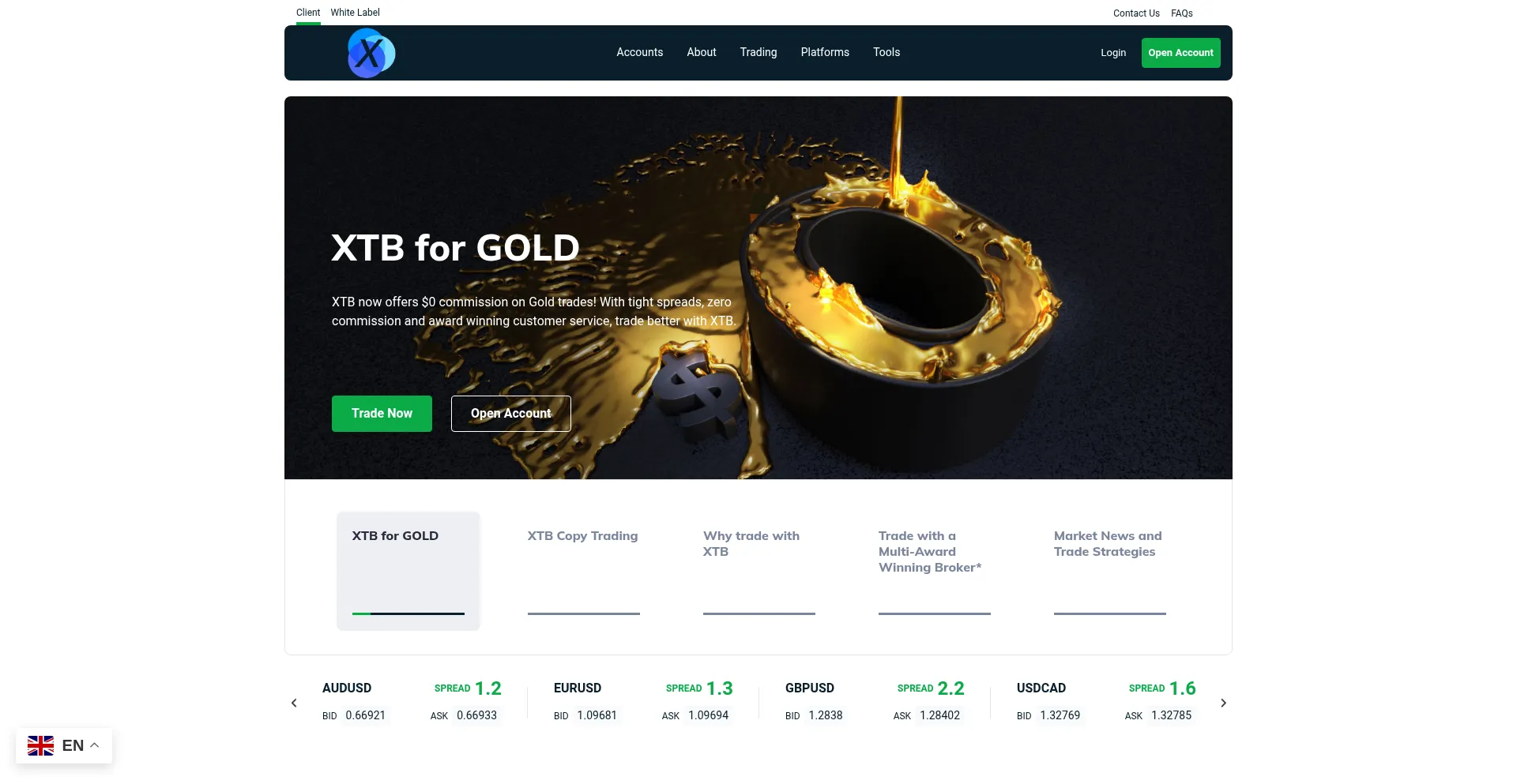 Website screenshot of Xteme.cc