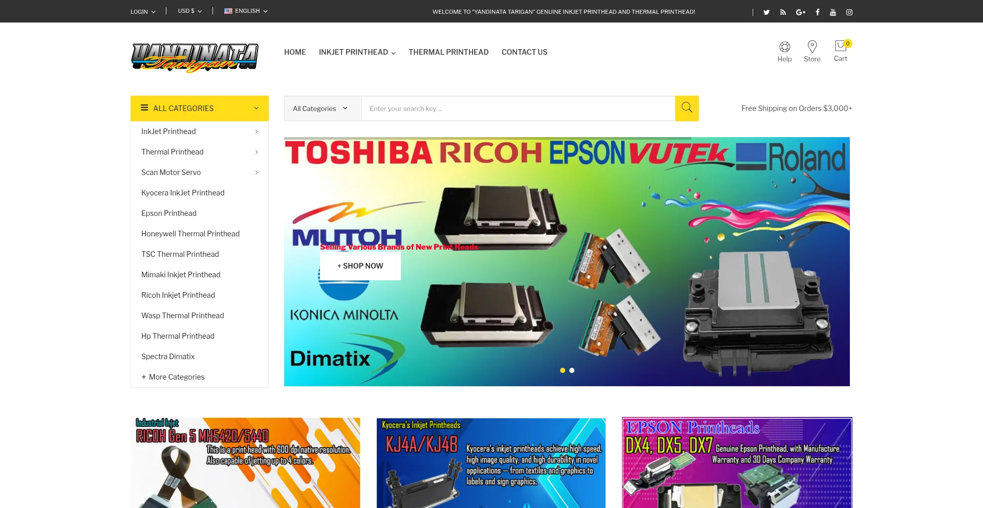 Website screenshot of Yandinatatarigan.com