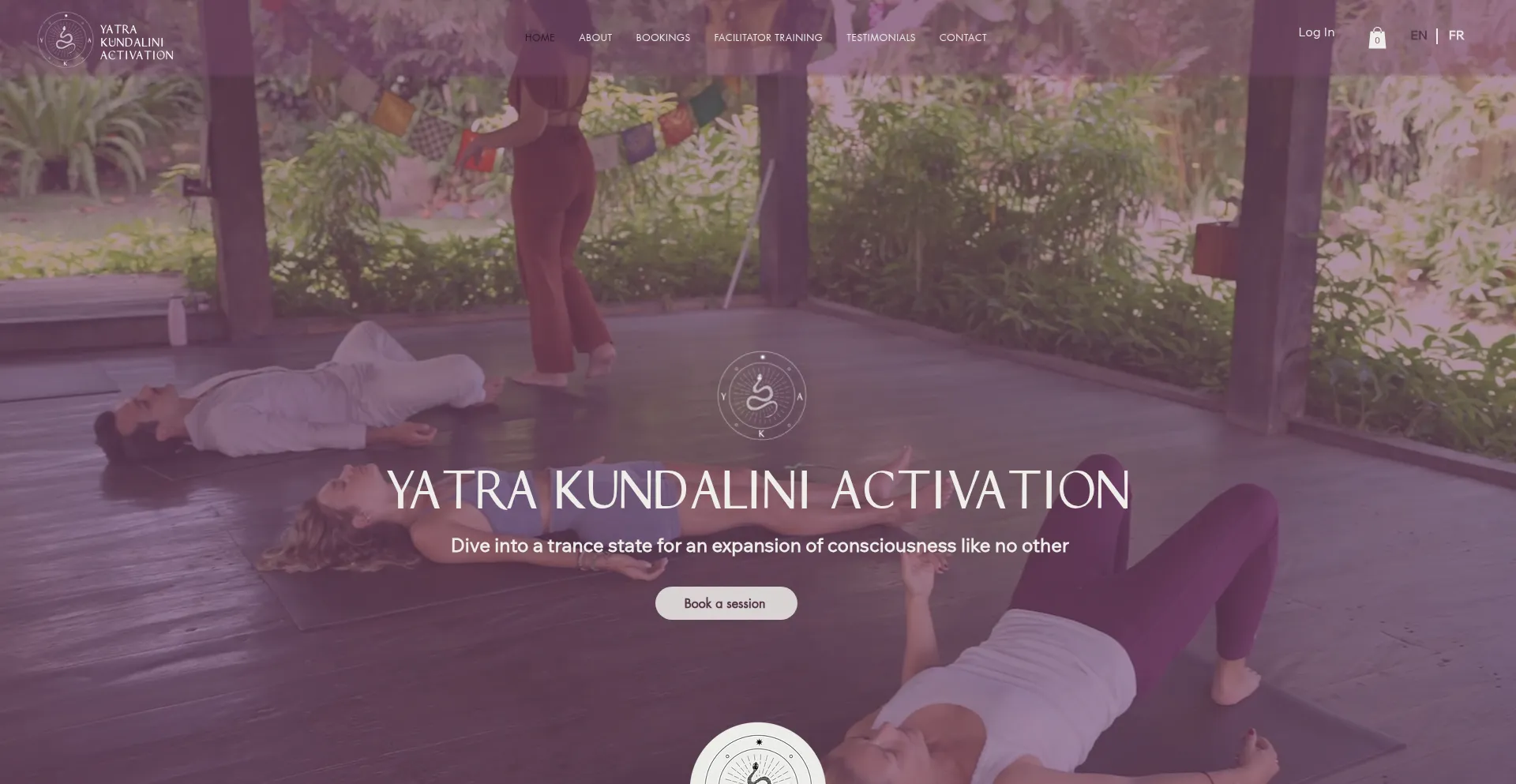 Website screenshot of Yatrakundaliniactivation.com