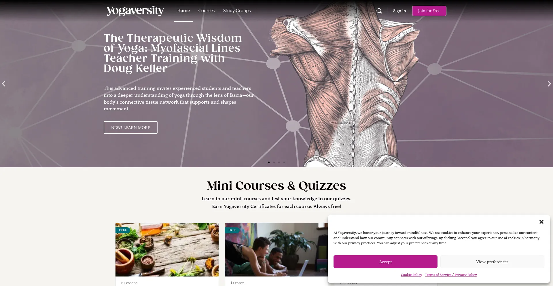 Website screenshot of Yogaversity.com
