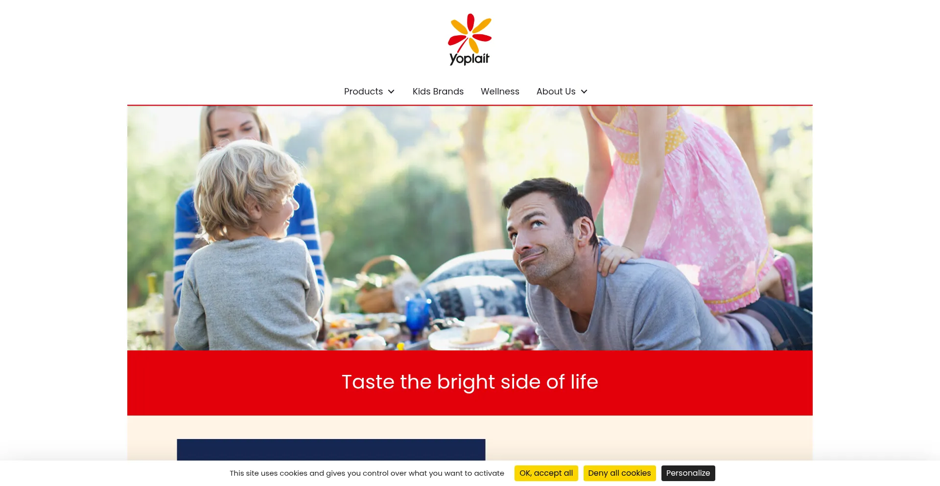 Yoplait.ie Screenshot
