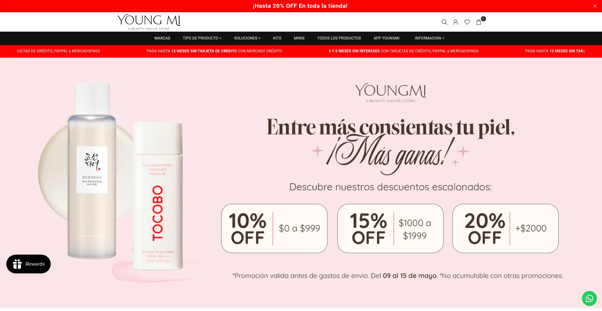 Website screenshot of Youngmi.mx