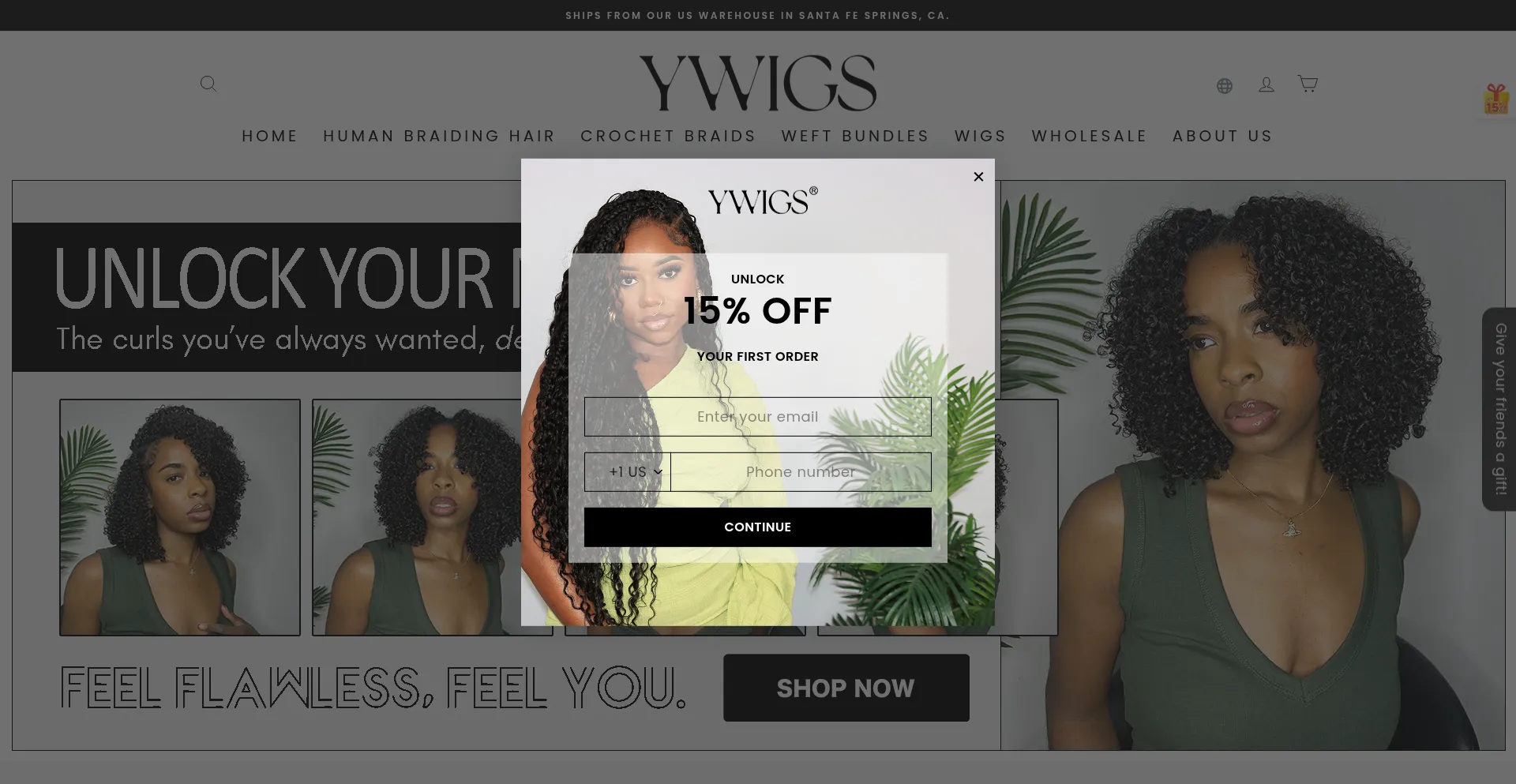 Website screenshot of Ywigs.com