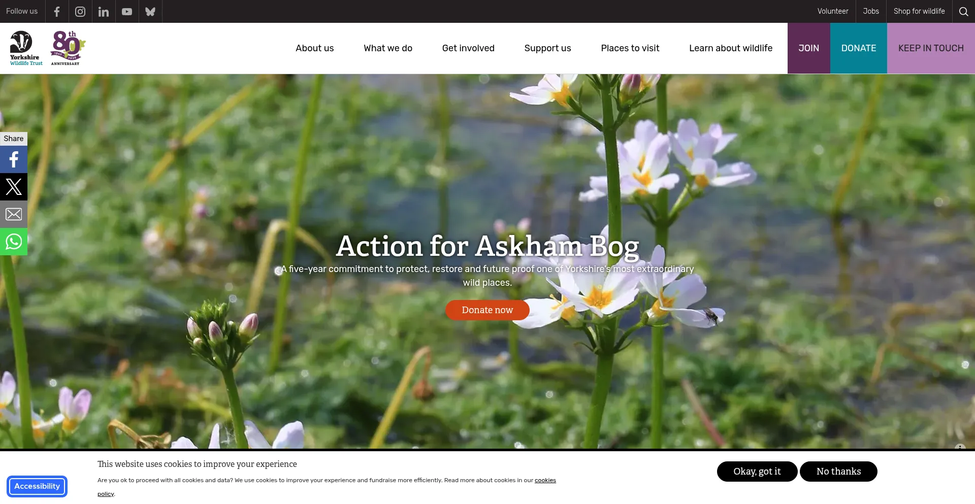 Ywt.org.uk