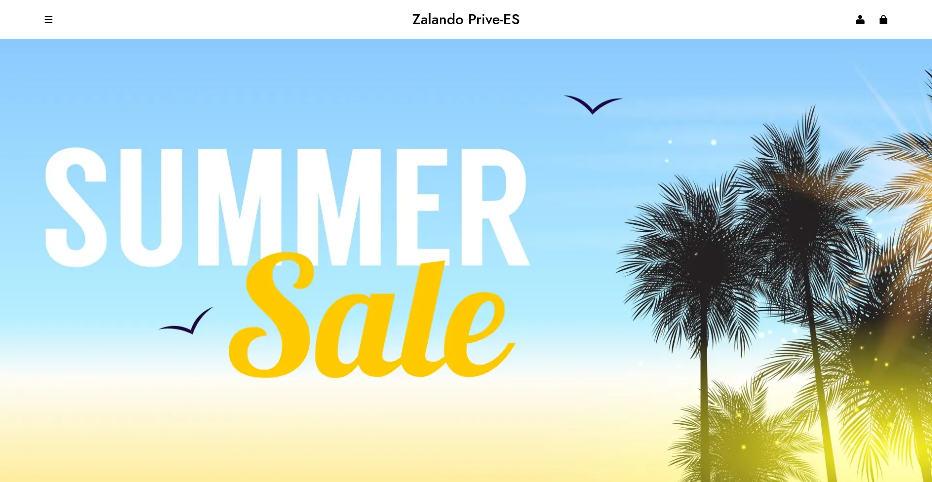 Website screenshot of Zalandoprive-es.online
