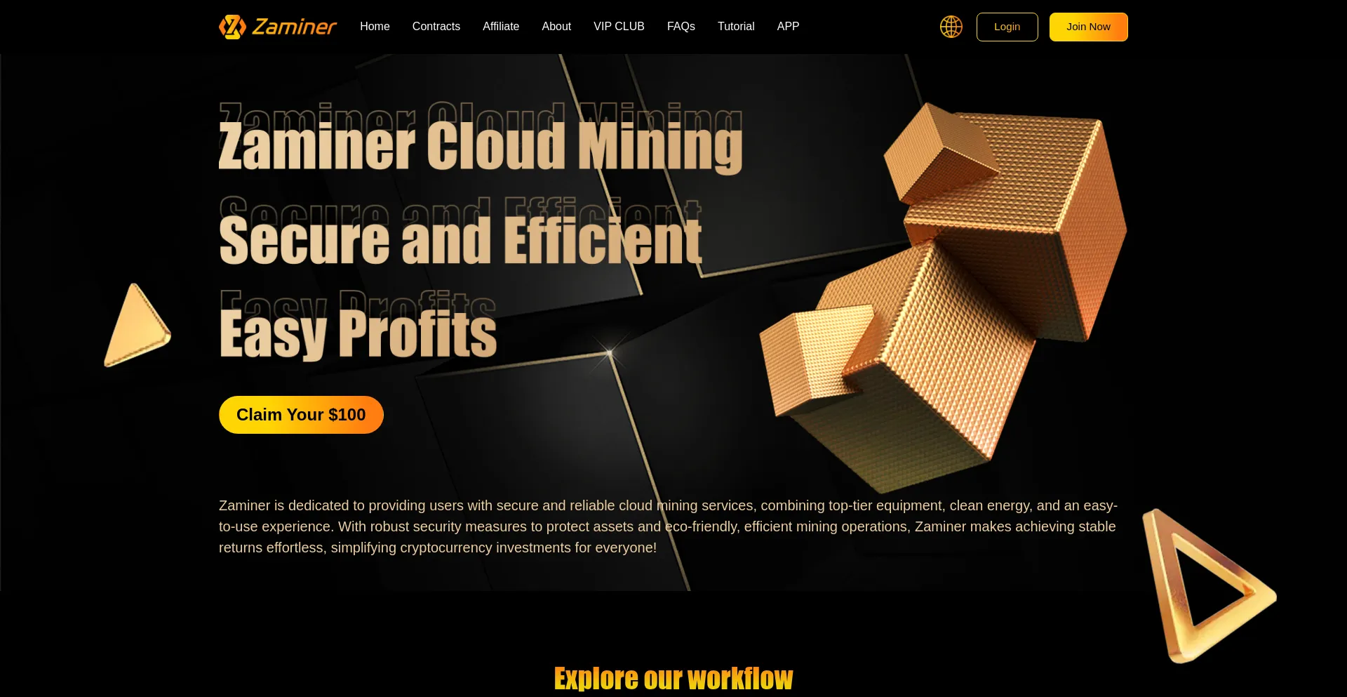 Website screenshot of Zaminer.com